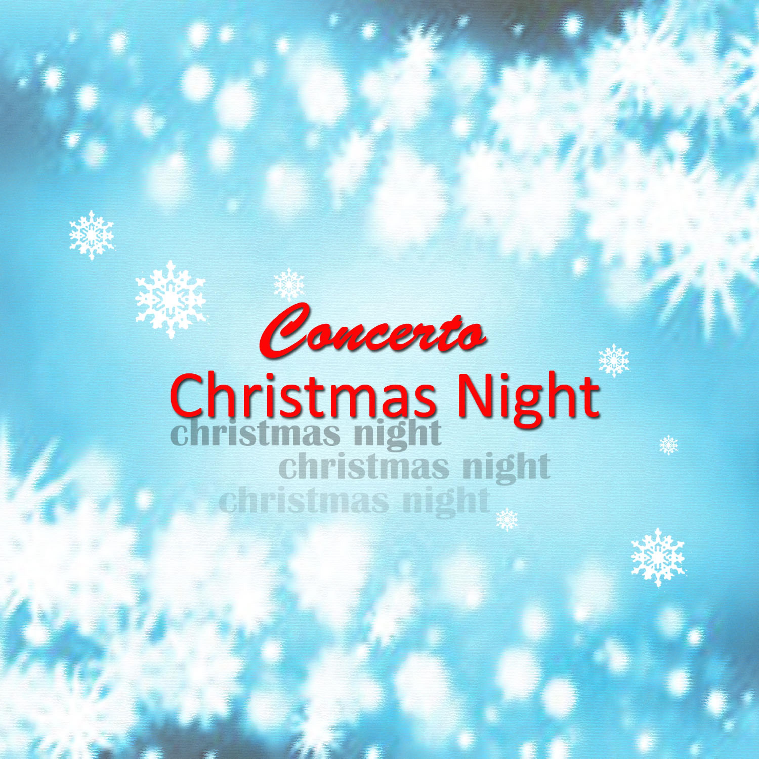Постер альбома Concerto Christmas Night