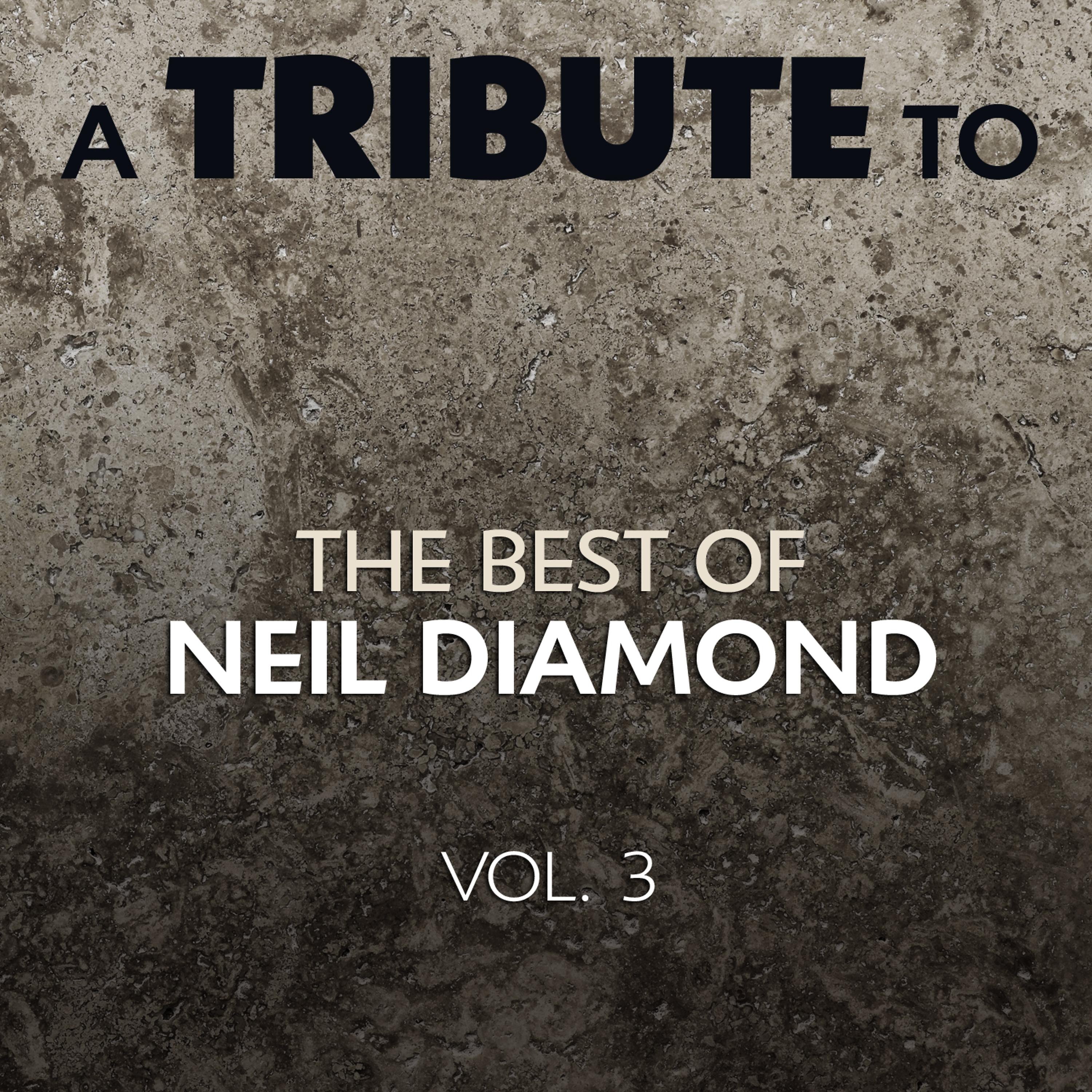 Постер альбома A Tribute to the Best of Neil Diamond, Vol. 3