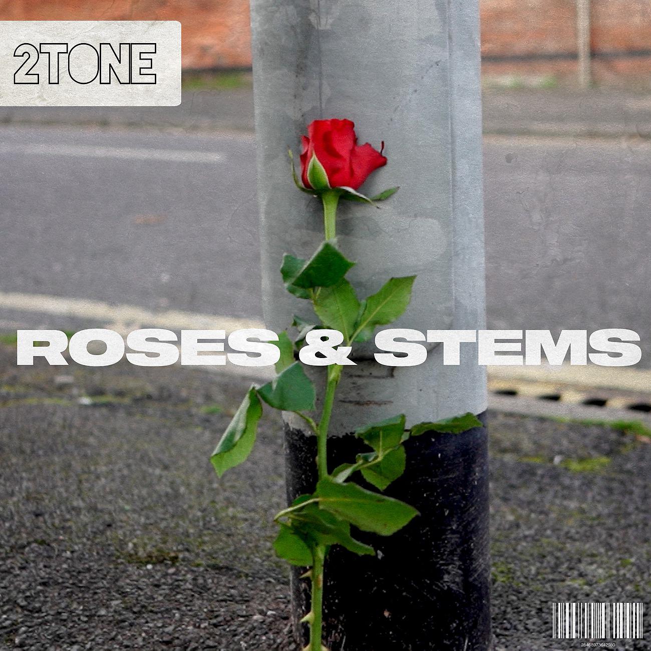 Постер альбома Roses & Stems