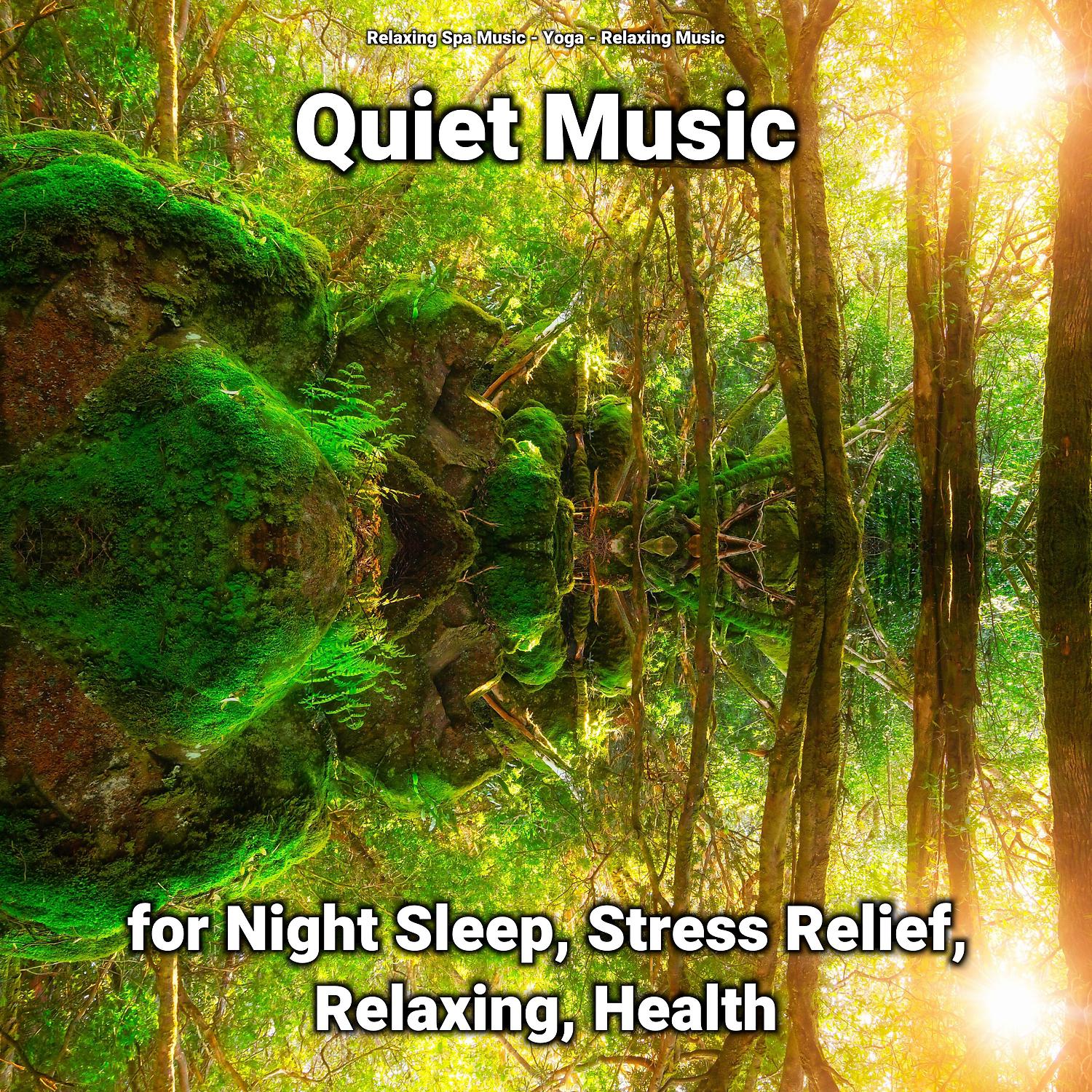 Постер альбома Quiet Music for Night Sleep, Stress Relief, Relaxing, Health