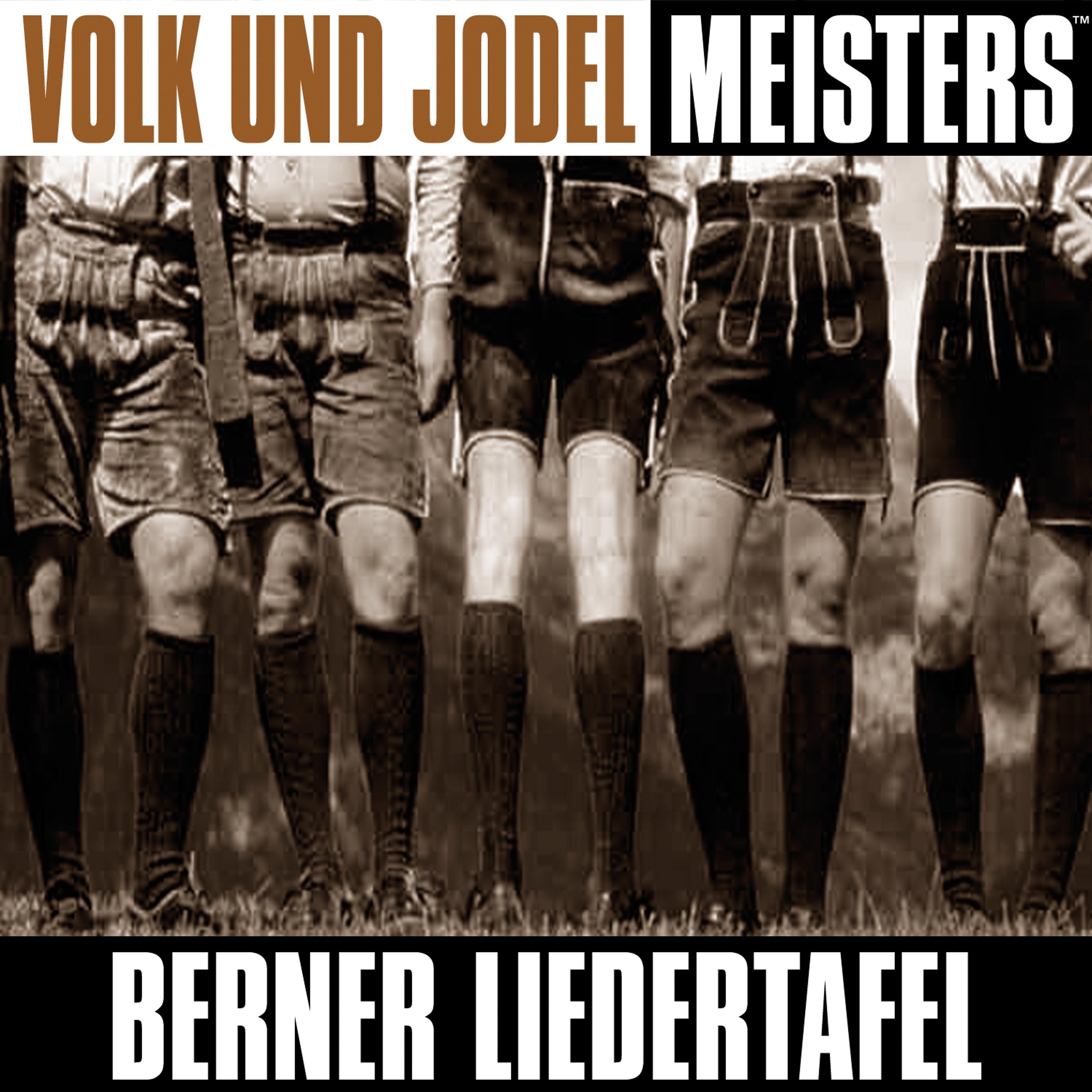 Постер альбома Volk und Jodel Meisters