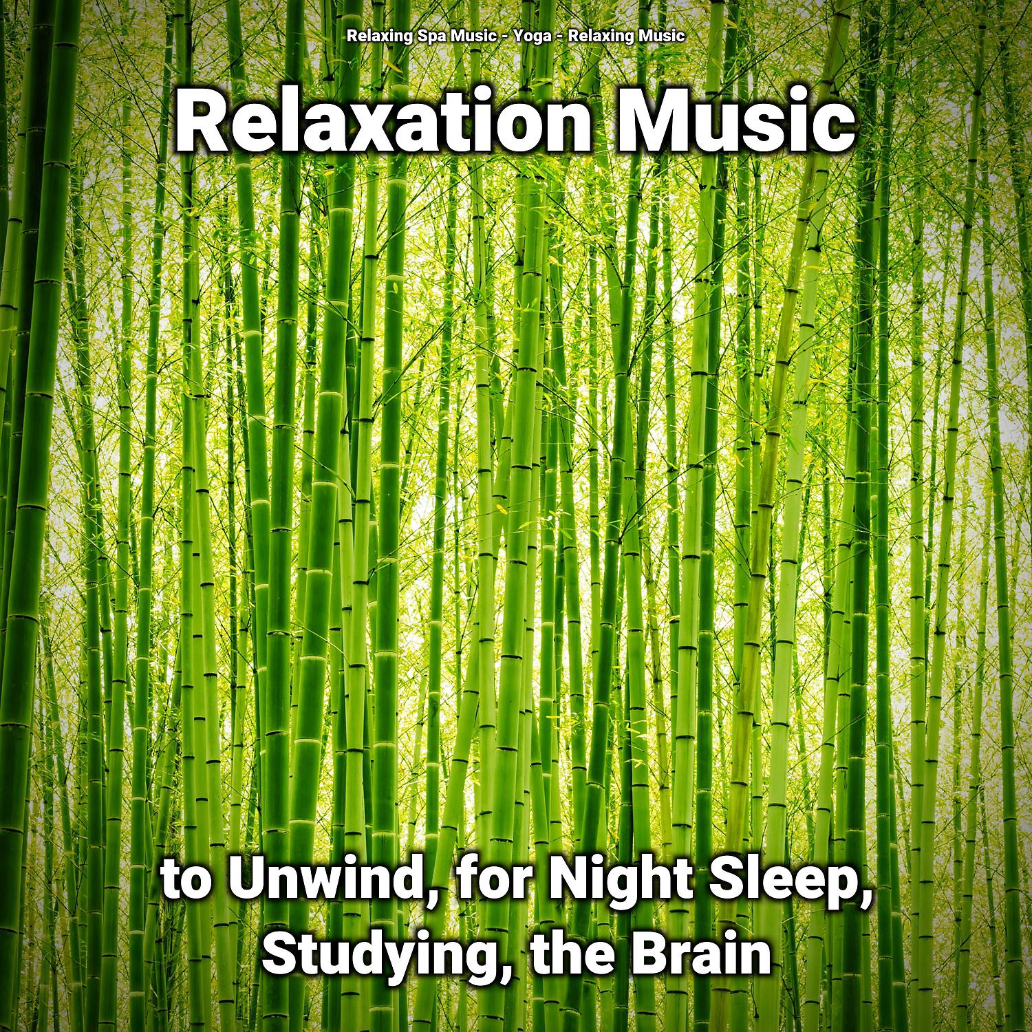 Постер альбома Relaxation Music to Unwind, for Night Sleep, Studying, the Brain