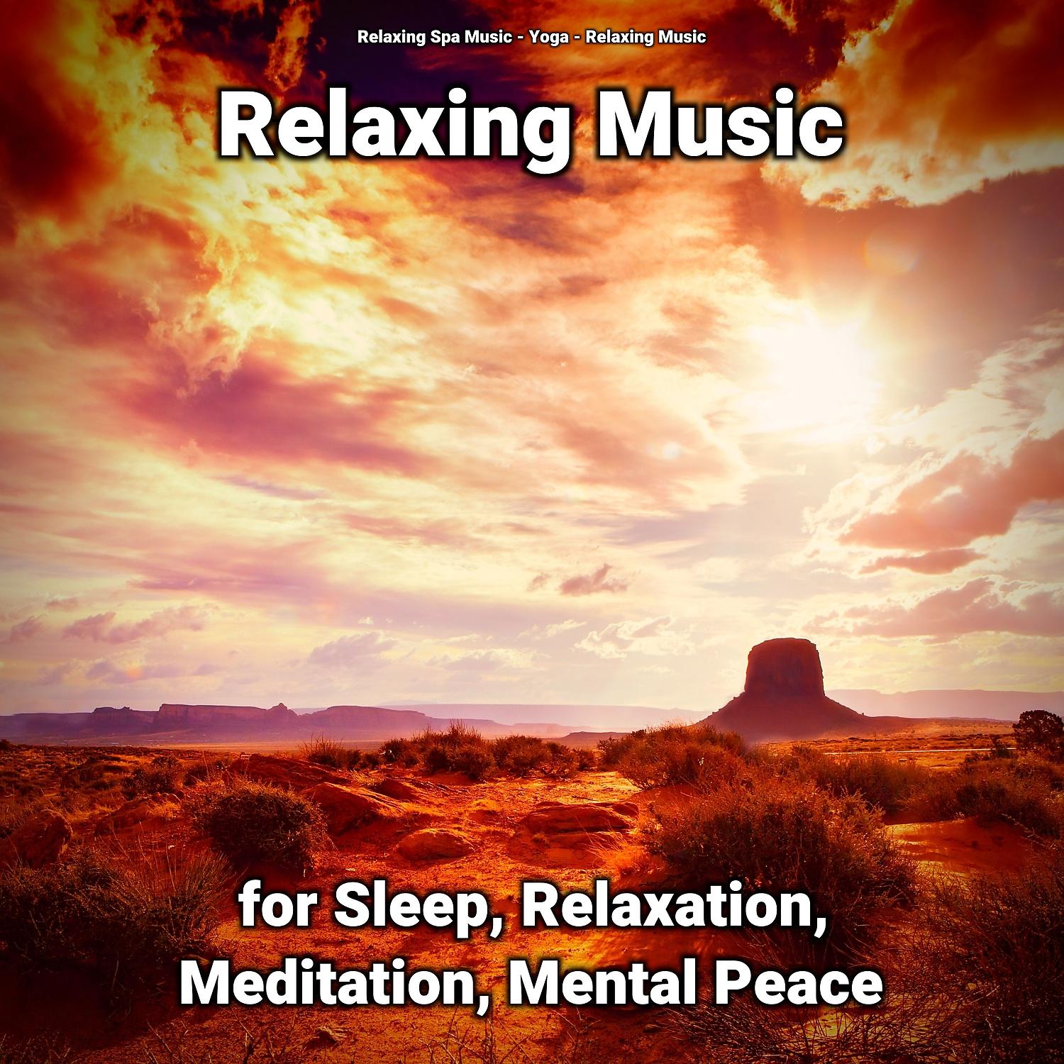 Постер альбома Relaxing Music for Sleep, Relaxation, Meditation, Mental Peace
