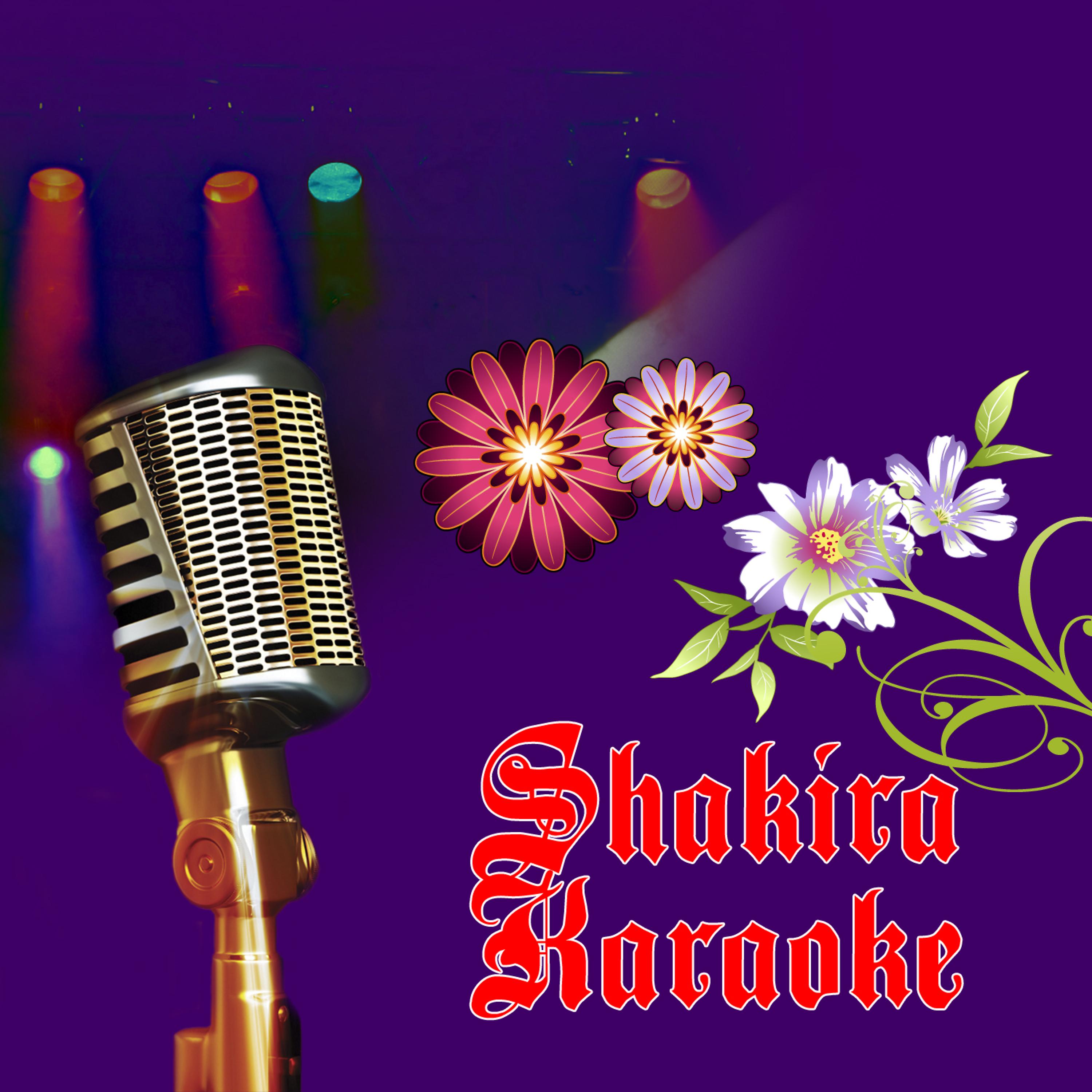 Постер альбома Shakira Karaoke