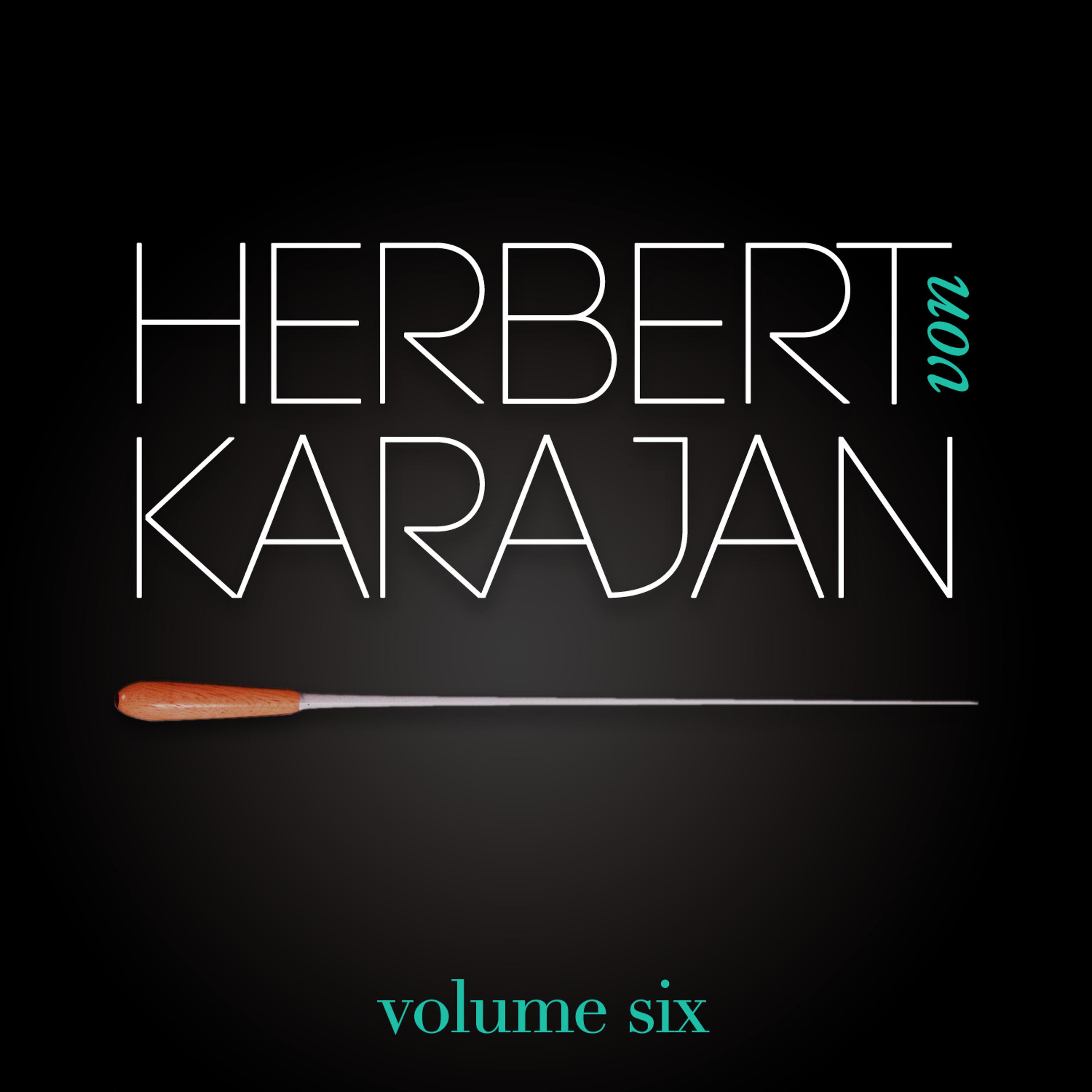 Постер альбома Herbert Von Karajan Vol. 6 : Les Plus Belles Valses De Johann Strauss (Johann Strauss)