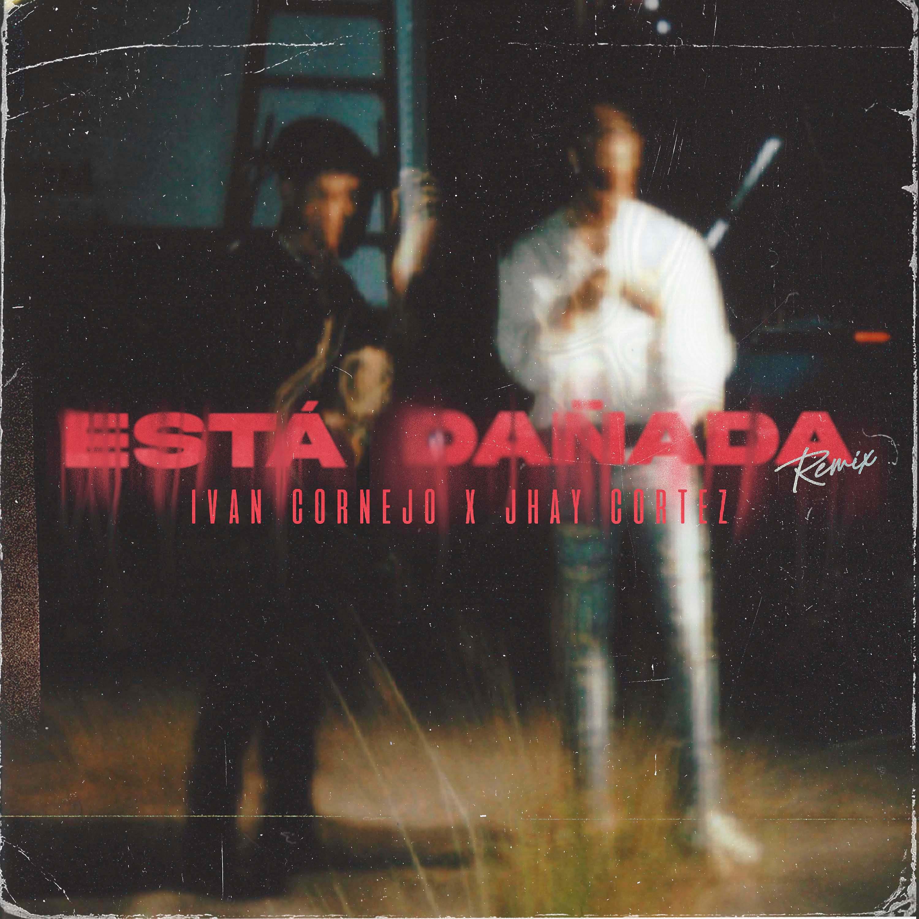 Постер альбома Está Dañada (Remix)