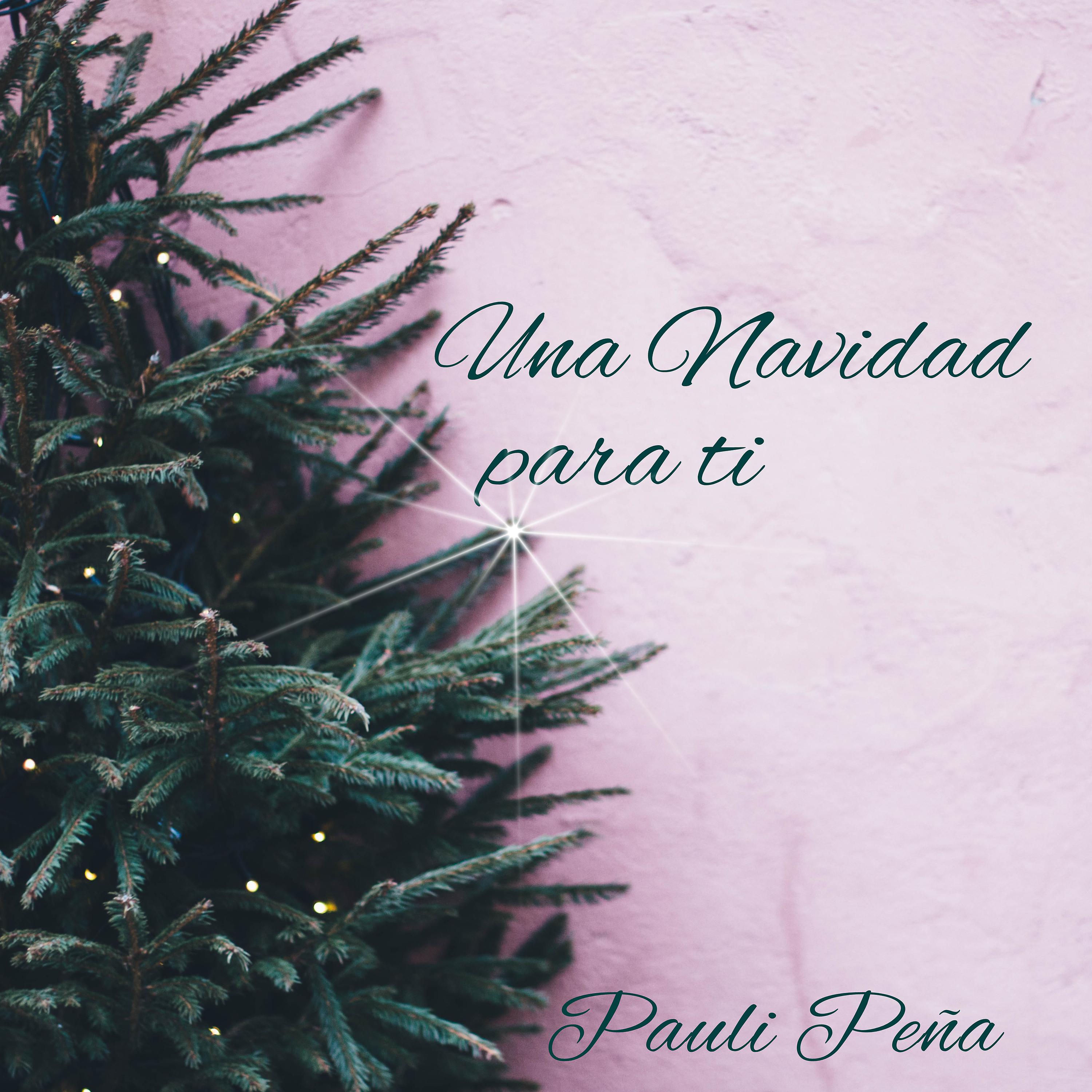 Постер альбома Una Navidad para Ti