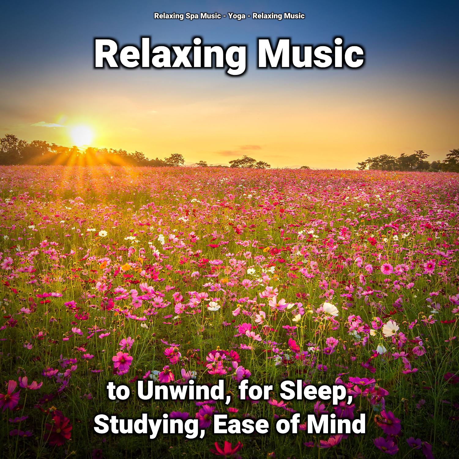 Постер альбома Relaxing Music to Unwind, for Sleep, Studying, Ease of Mind