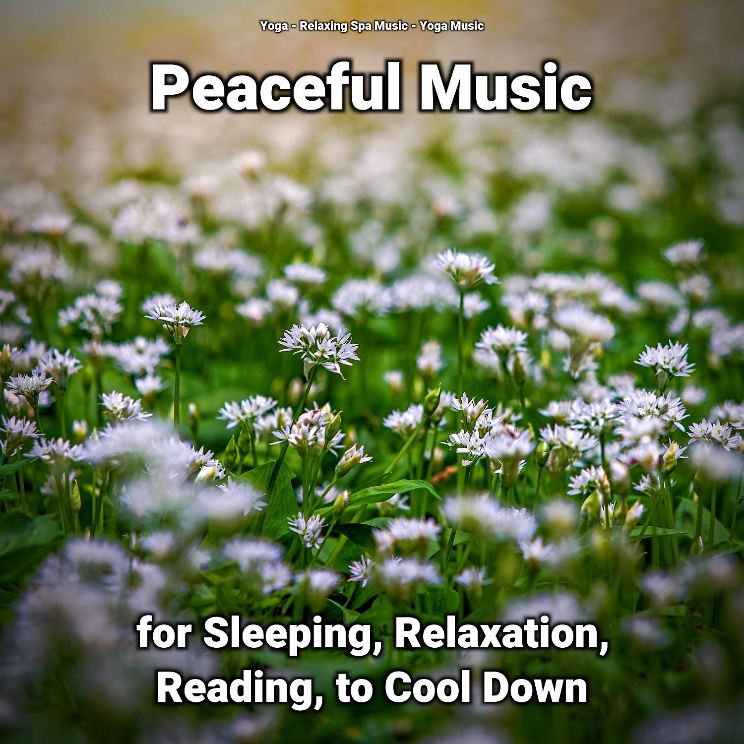 Постер альбома Peaceful Music for Sleeping, Relaxation, Reading, to Cool Down