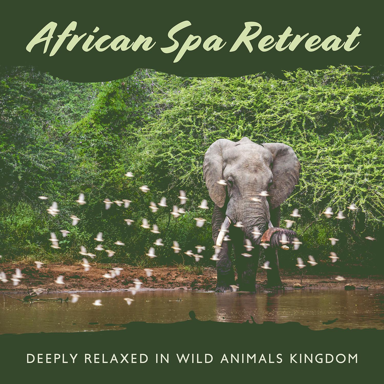 Постер альбома African Spa Retreat: Deeply Relaxed in Wild Animals Kingdom - Healing Exotic New Age Music