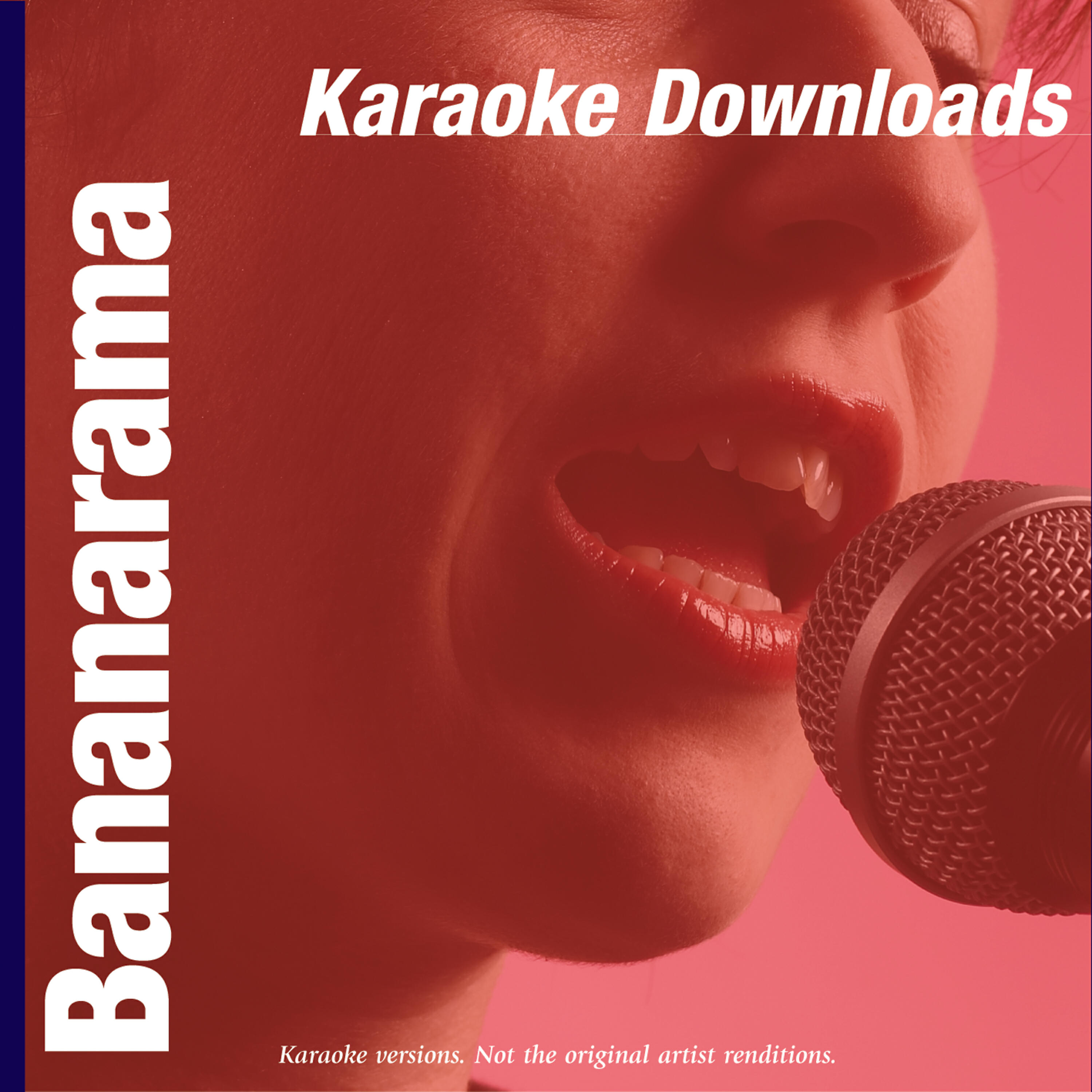 Альбом Karaoke Downloads - Bananarama исполнителя Karaoke - Ameritz