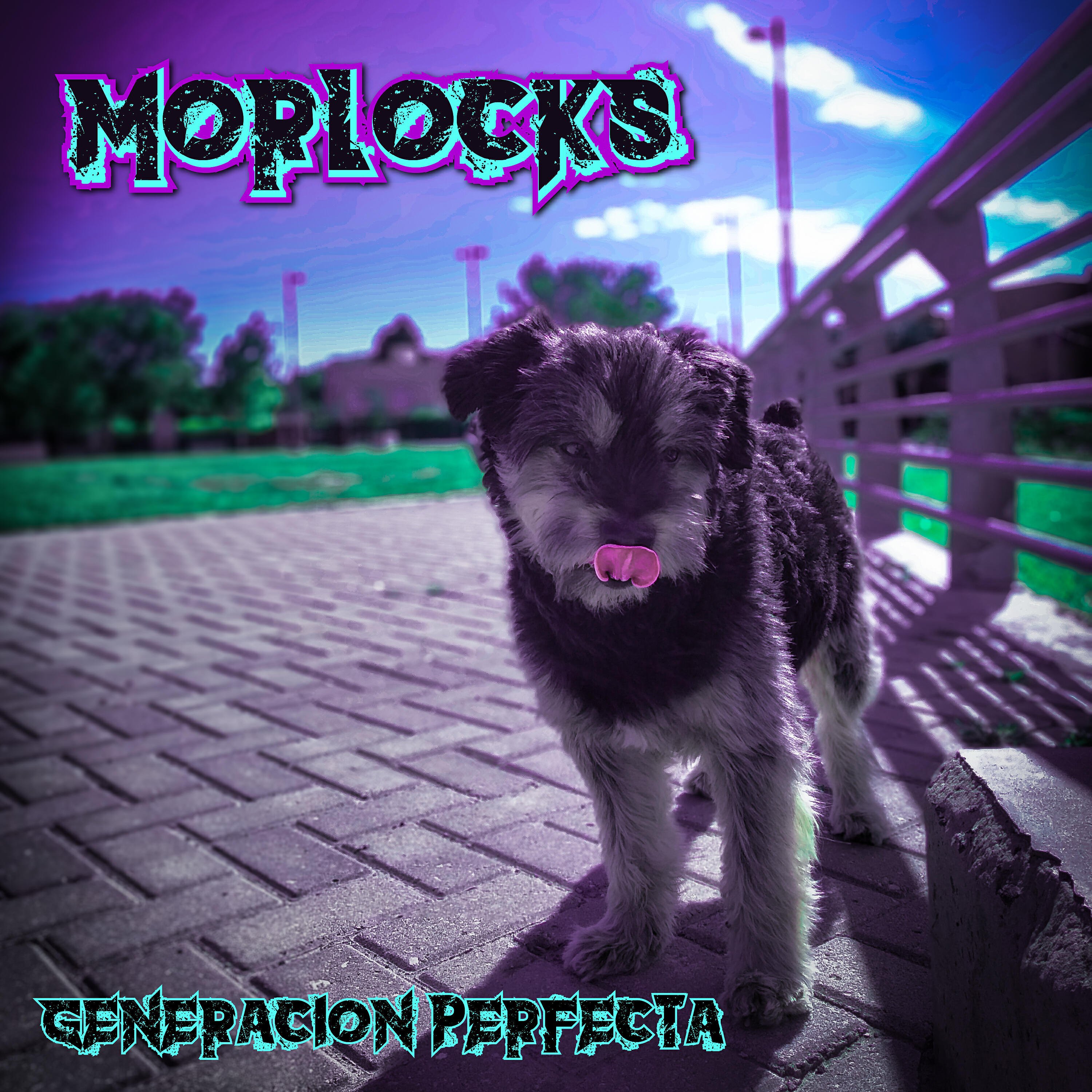 Morlocks - Volviendo a Casa