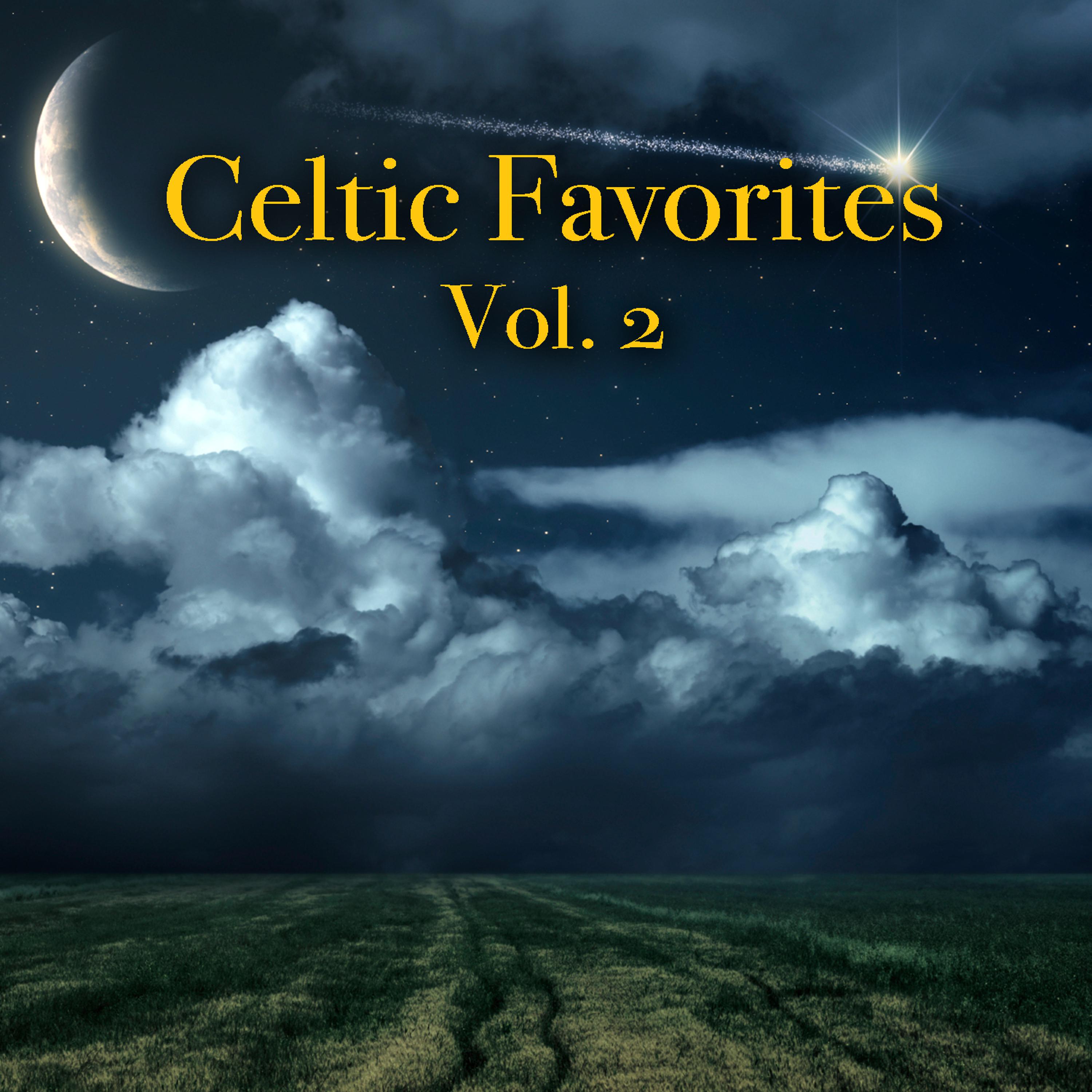 Постер альбома Celtic Favorites Vol. 2