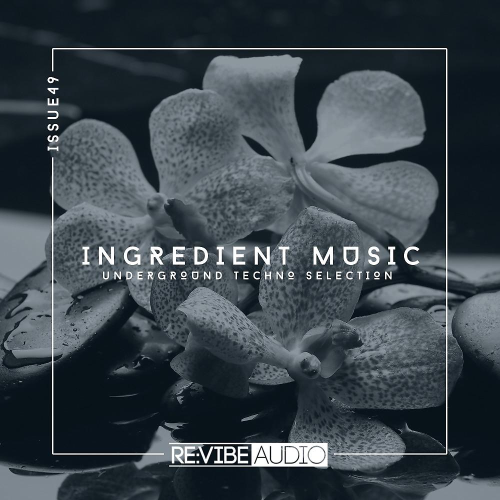 Постер альбома Ingredient Music, Vol. 49