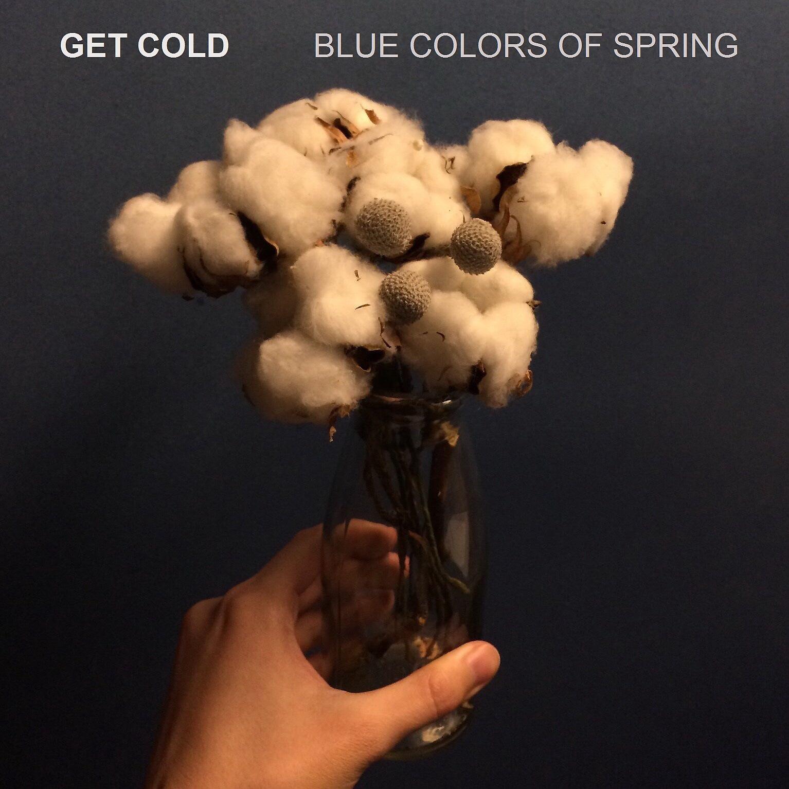 Постер альбома Blue Colors Of Spring