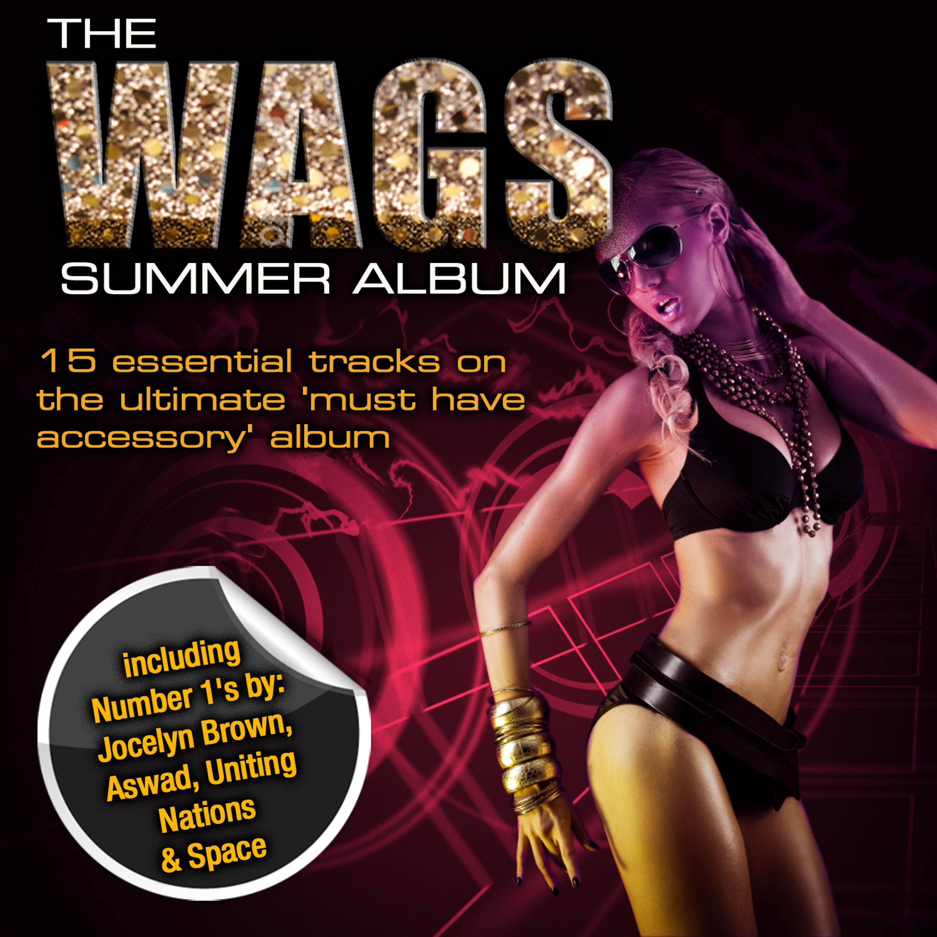 Постер альбома The WAGS Summer Album