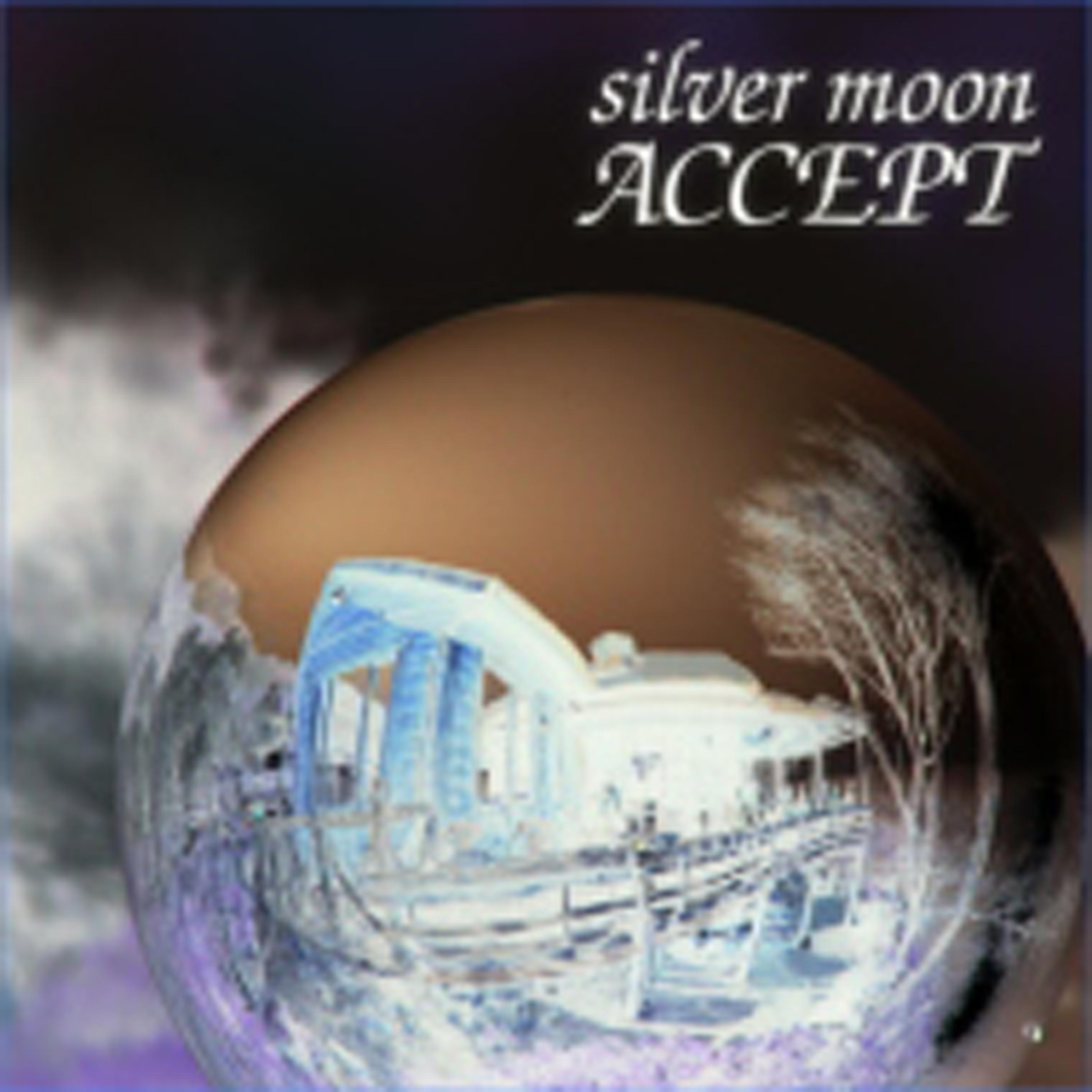 Постер альбома Silver Moon