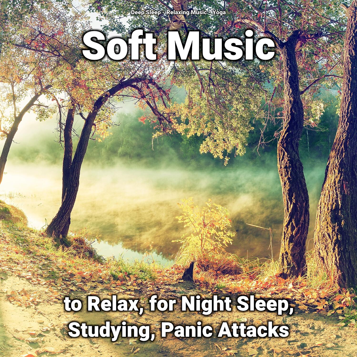 Deep Sleep - Calm Relaxation Music to Chill Out