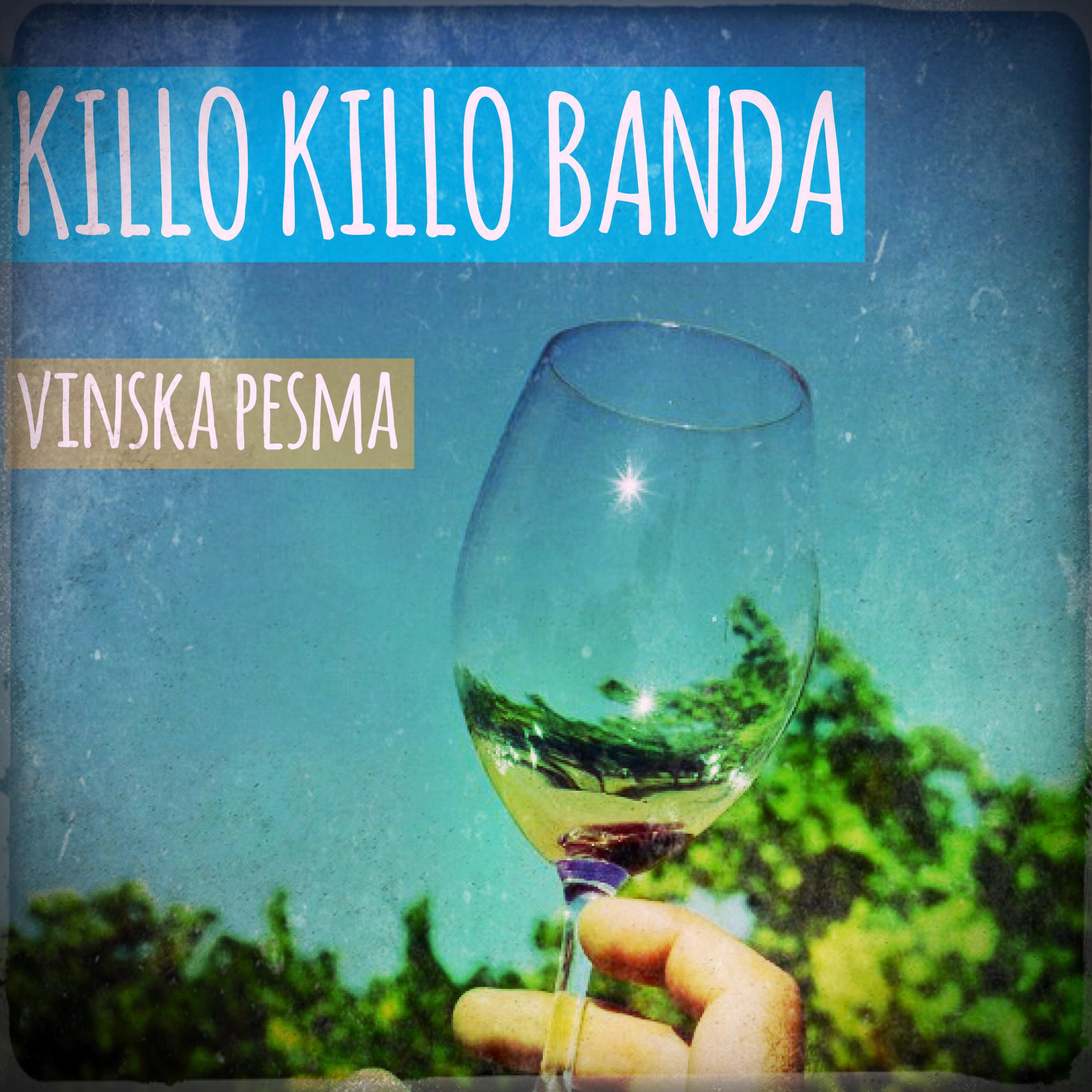 Постер альбома Vinska Pesma