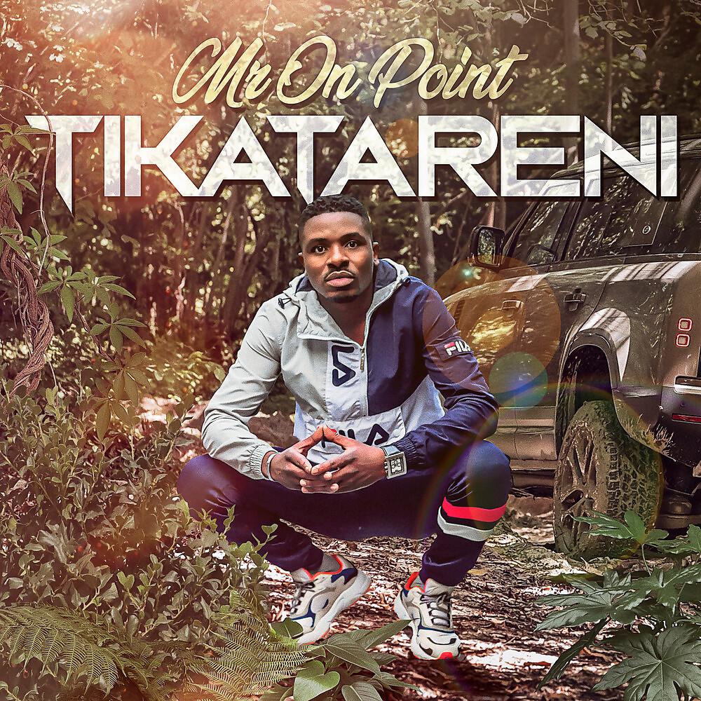 Постер альбома Tikatareni