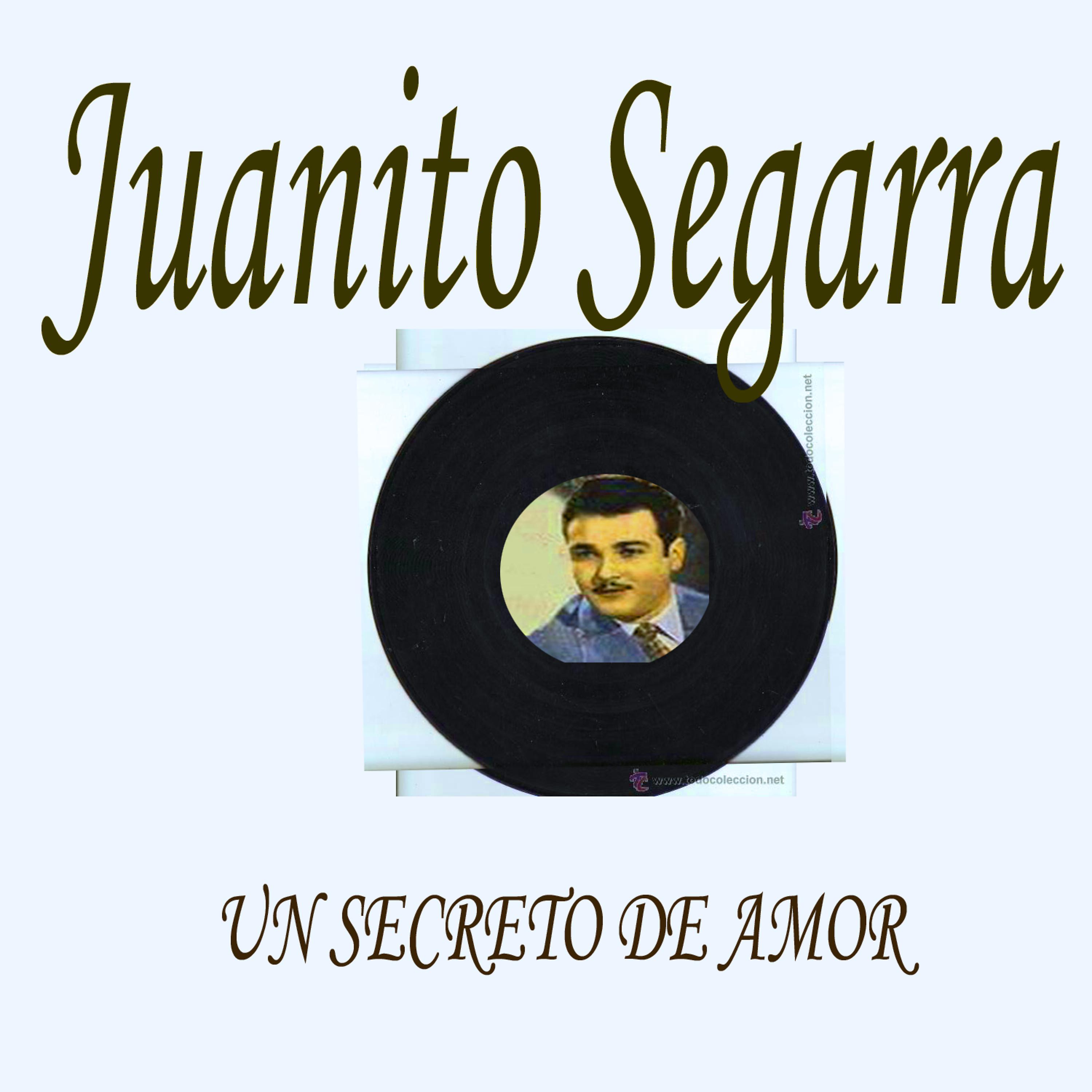 Постер альбома Un Secreto De Amor