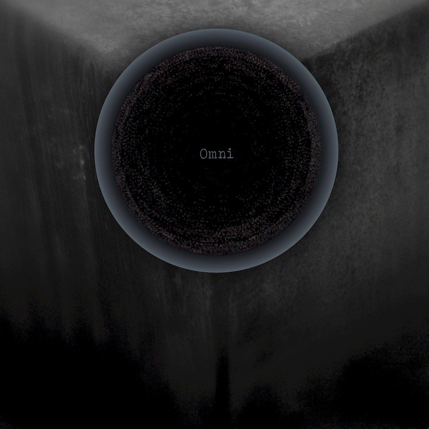 Постер альбома Omni