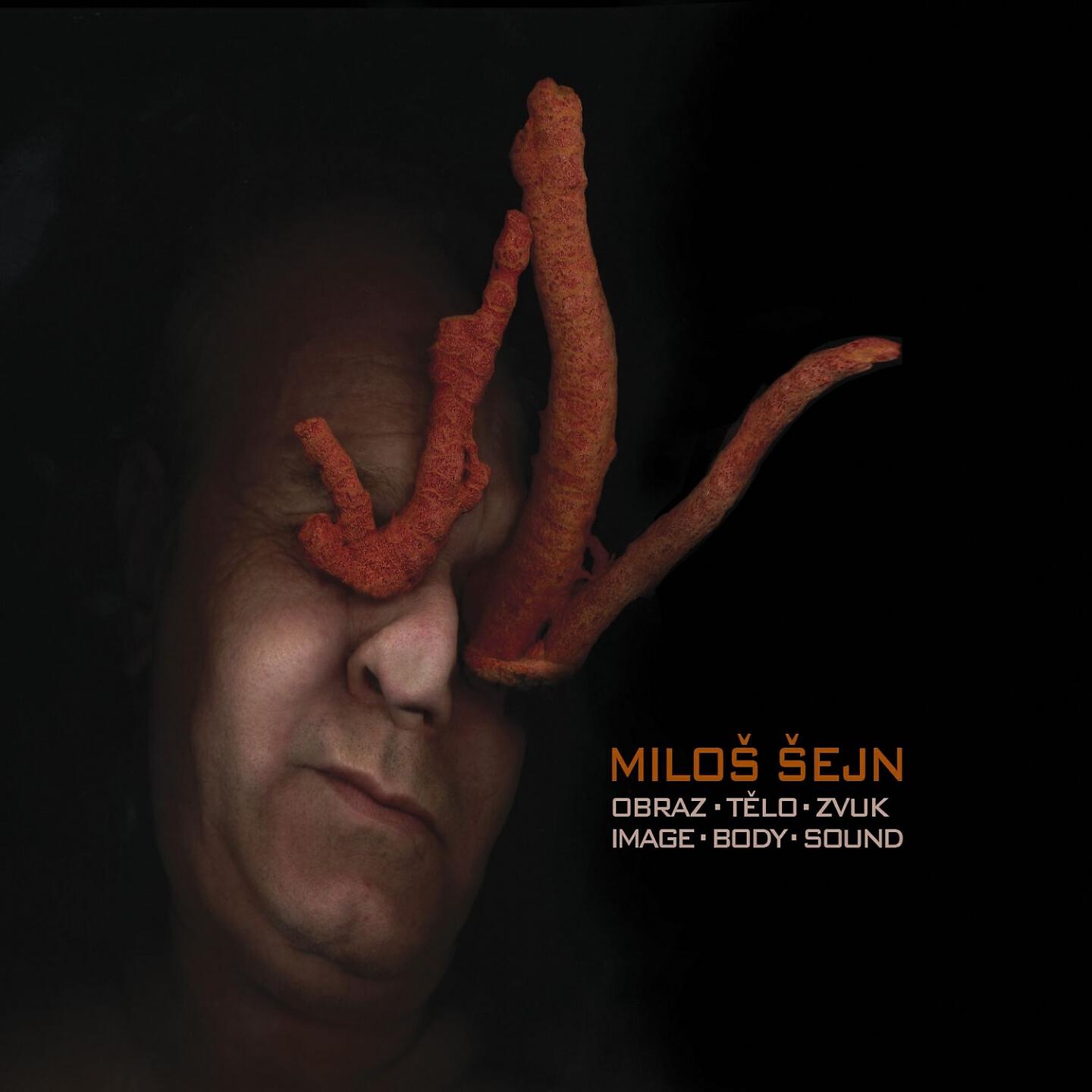 Miloš Šejn - Vrty