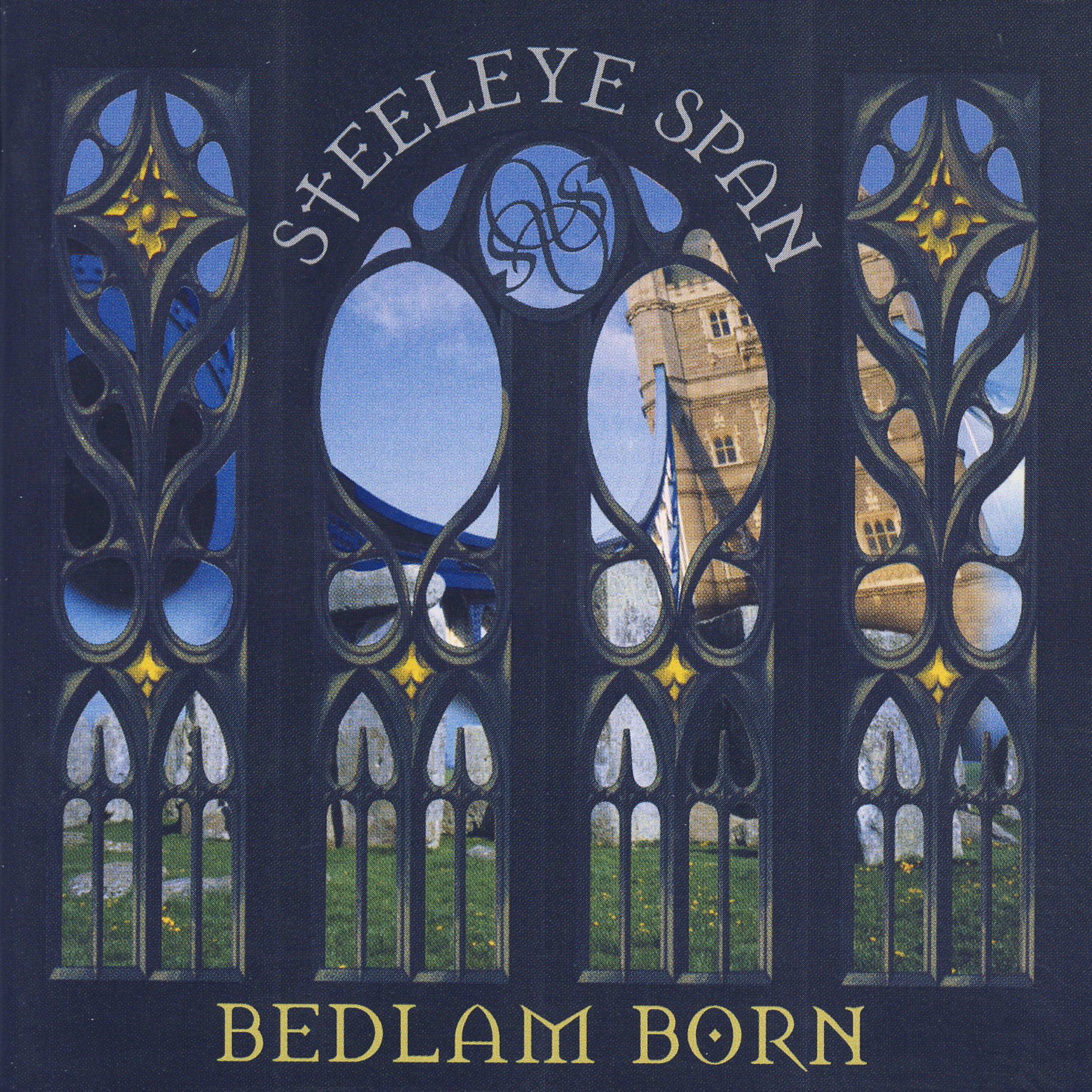 Постер альбома Bedlam Born