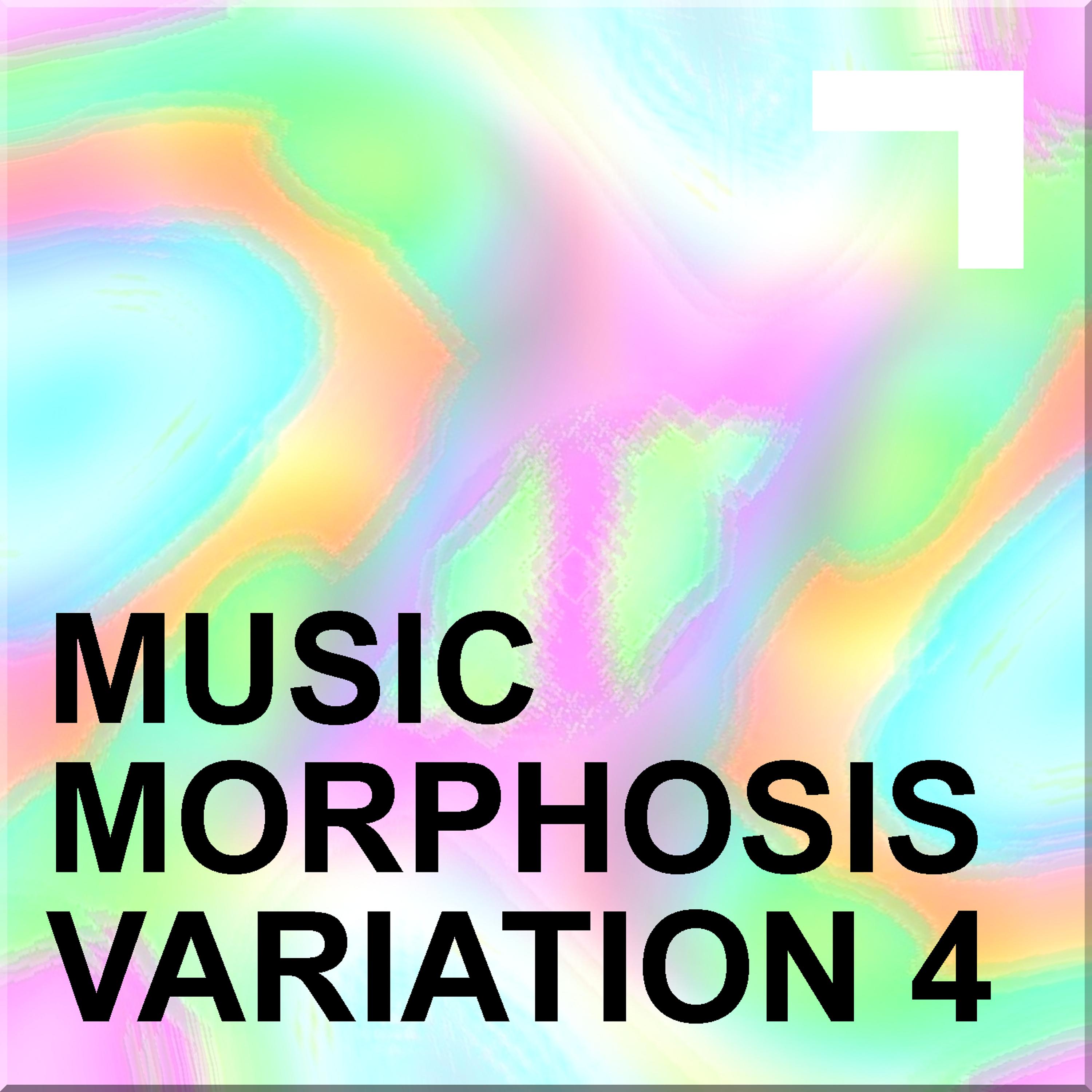 Постер альбома Musicmorphosis – Variation 4