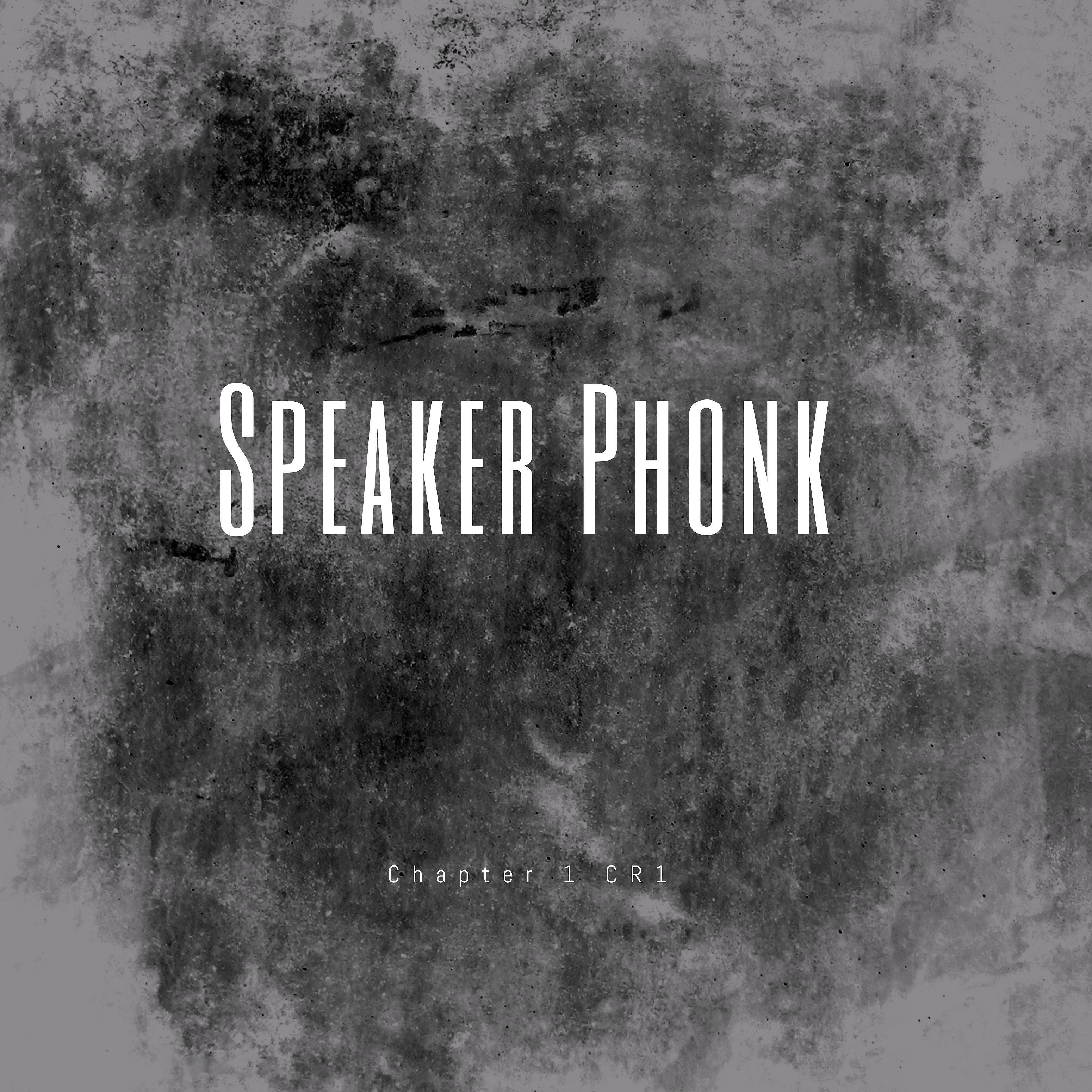 Постер альбома Speaker Phonk