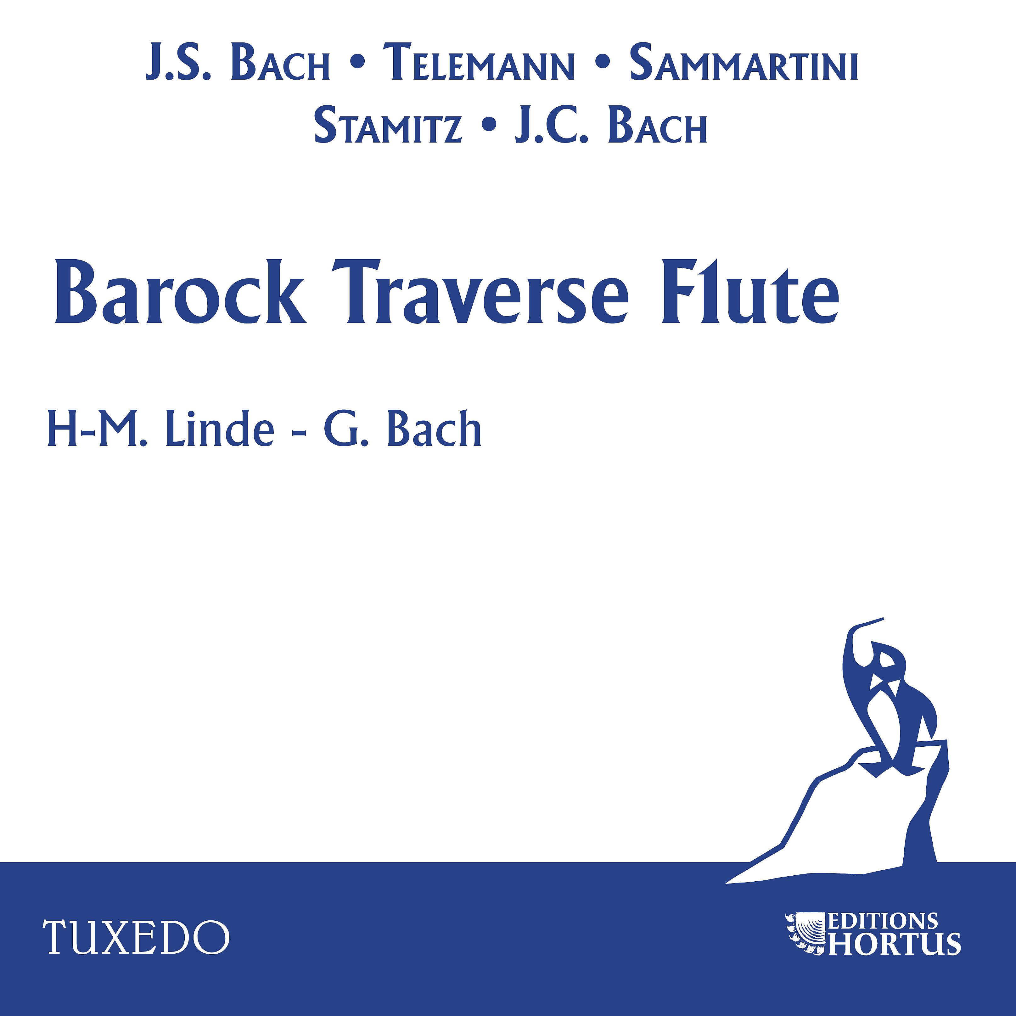Постер альбома Barock Traverse Flute