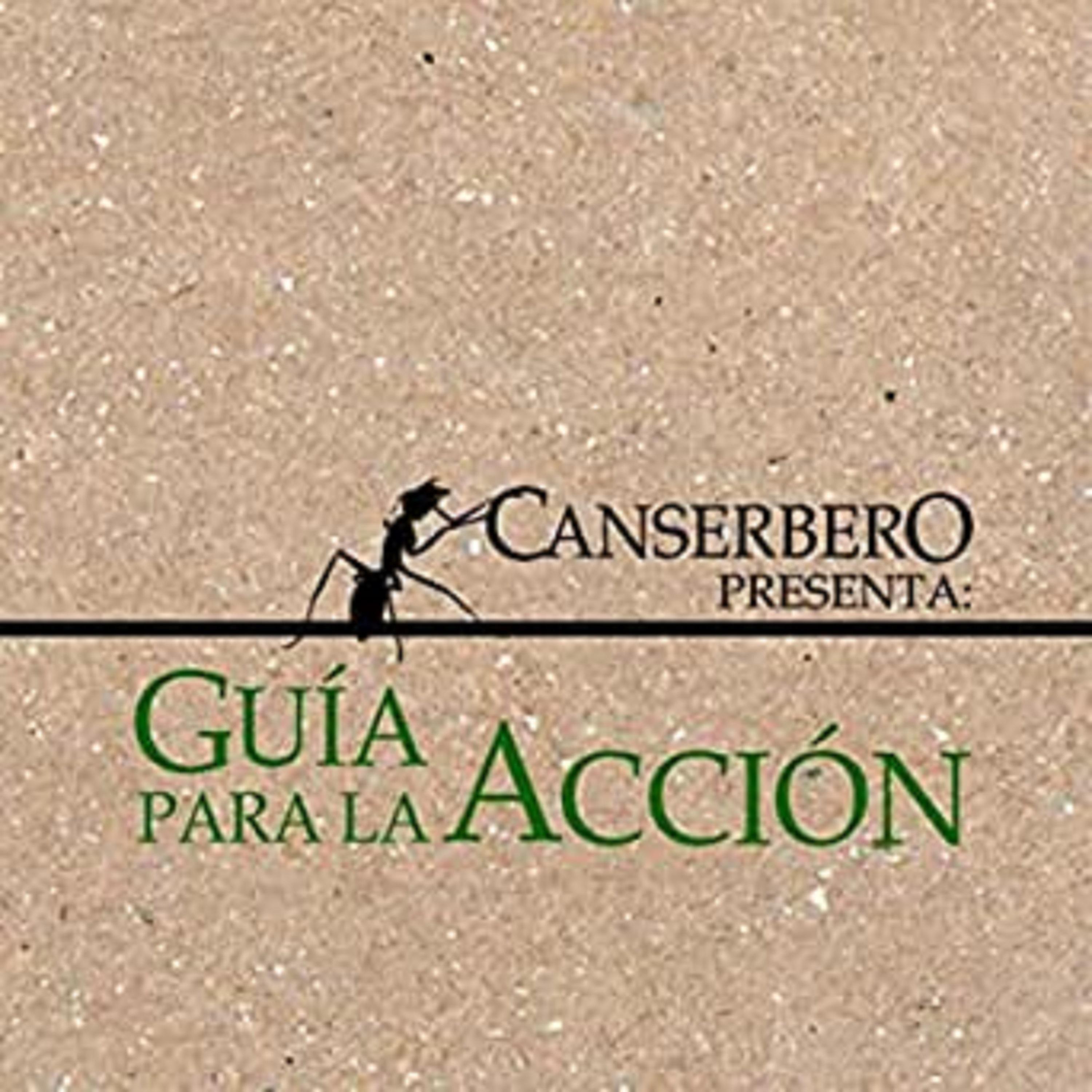 Постер альбома Guía para la Acción