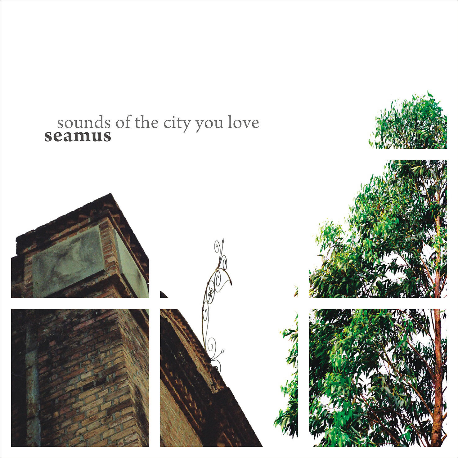 Seamus - Blame