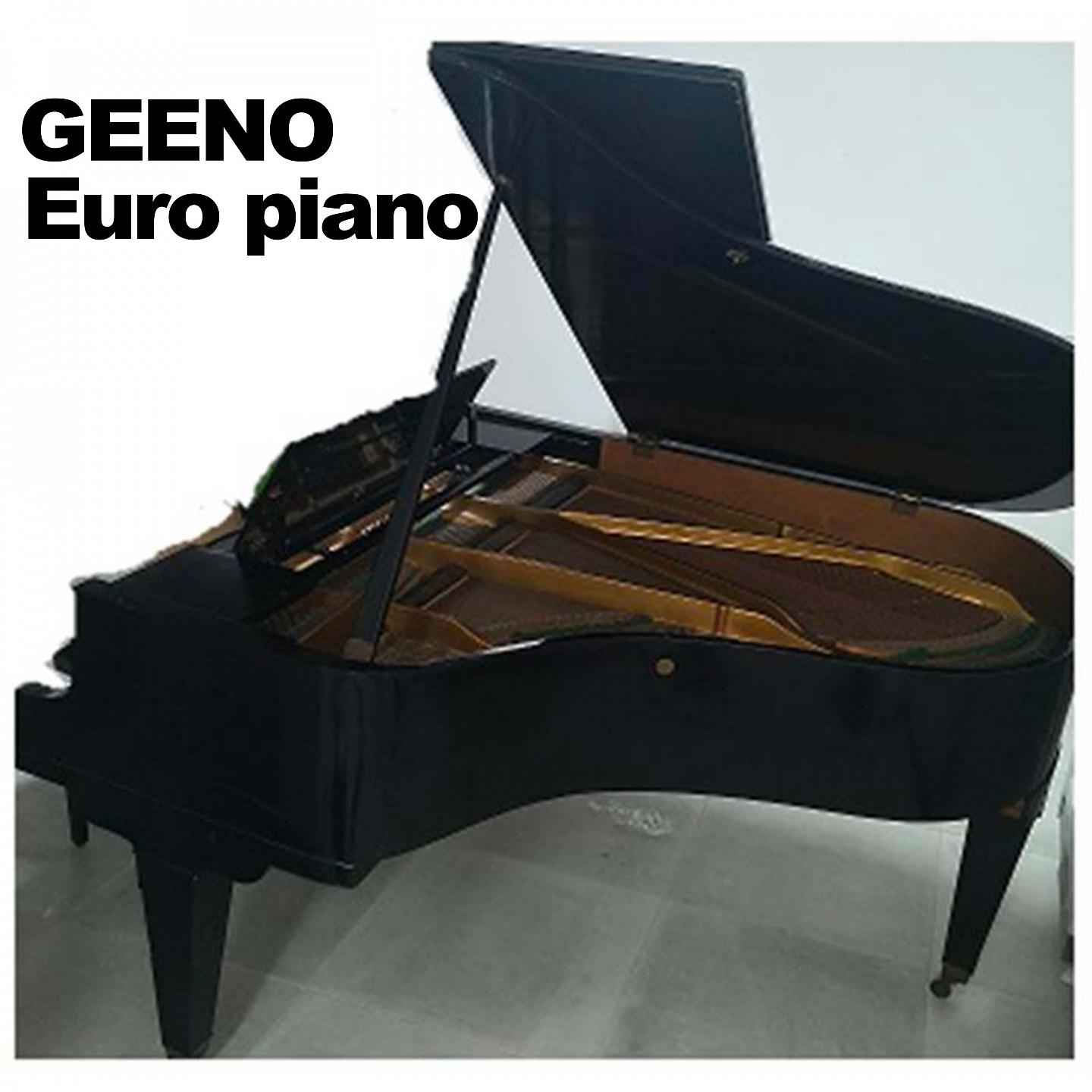 Постер альбома Euro piano