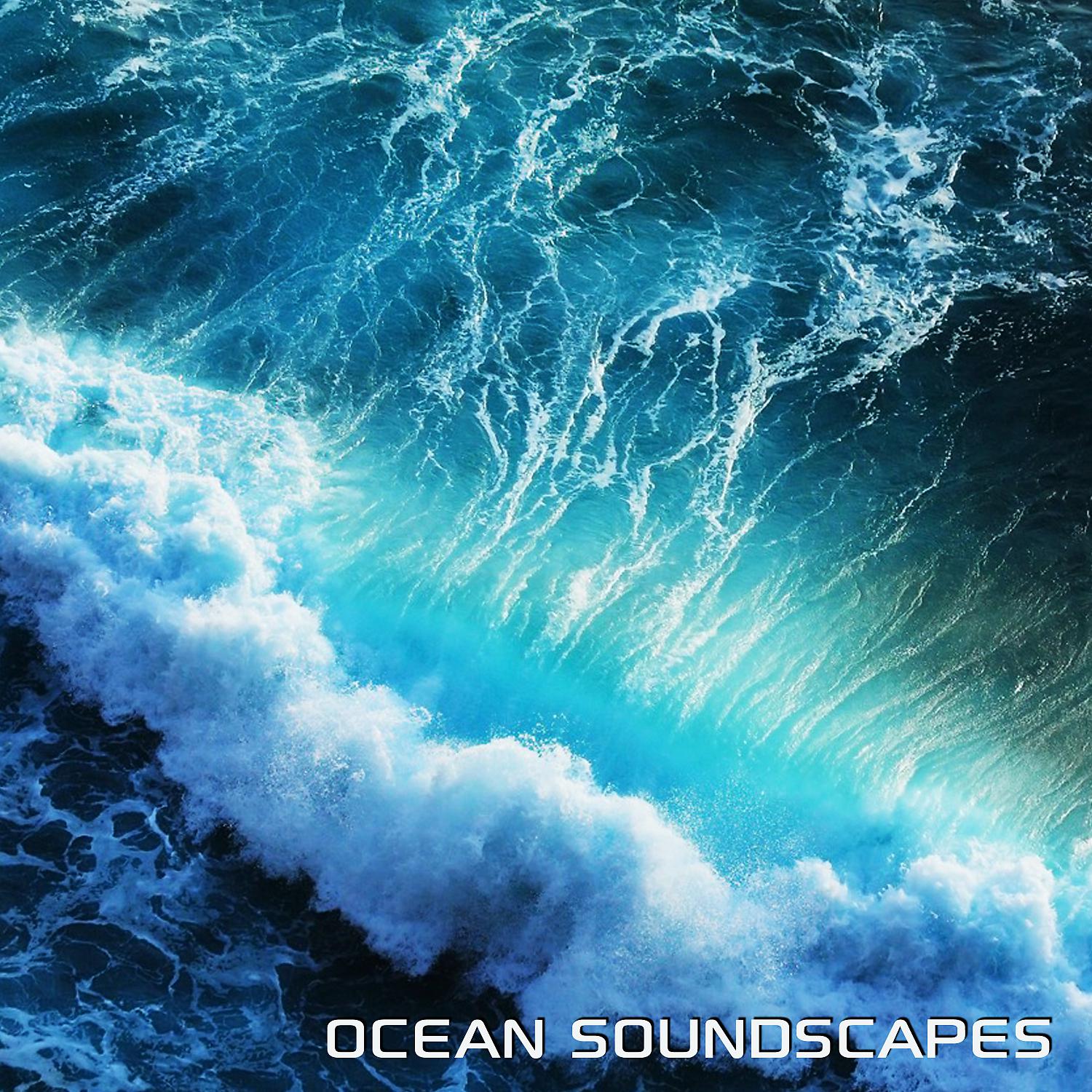 Постер альбома Ocean Soundscapes (feat. Discovery Nature Soundscapes)