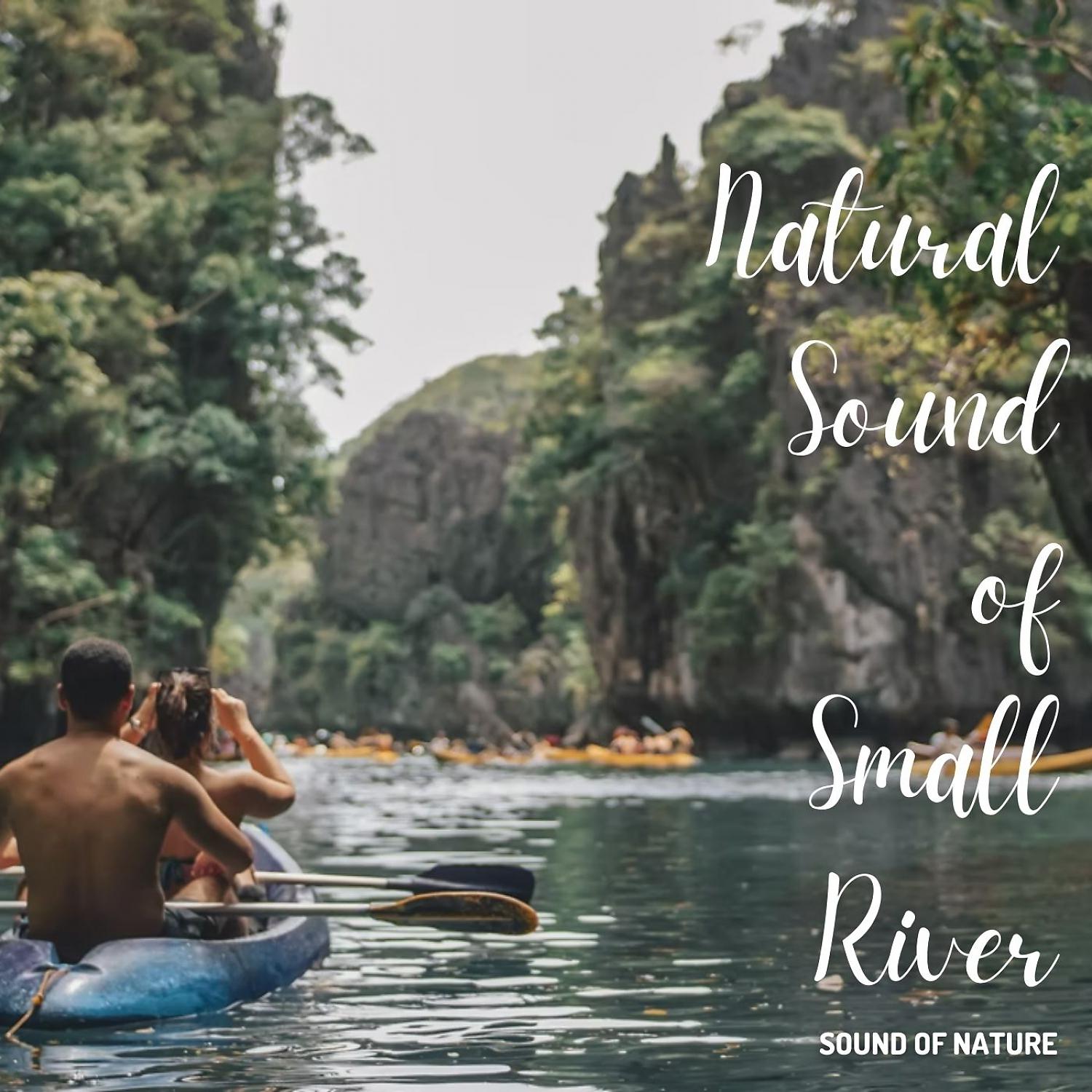 Постер альбома Sounds of Nature: Natural Sound of Small River