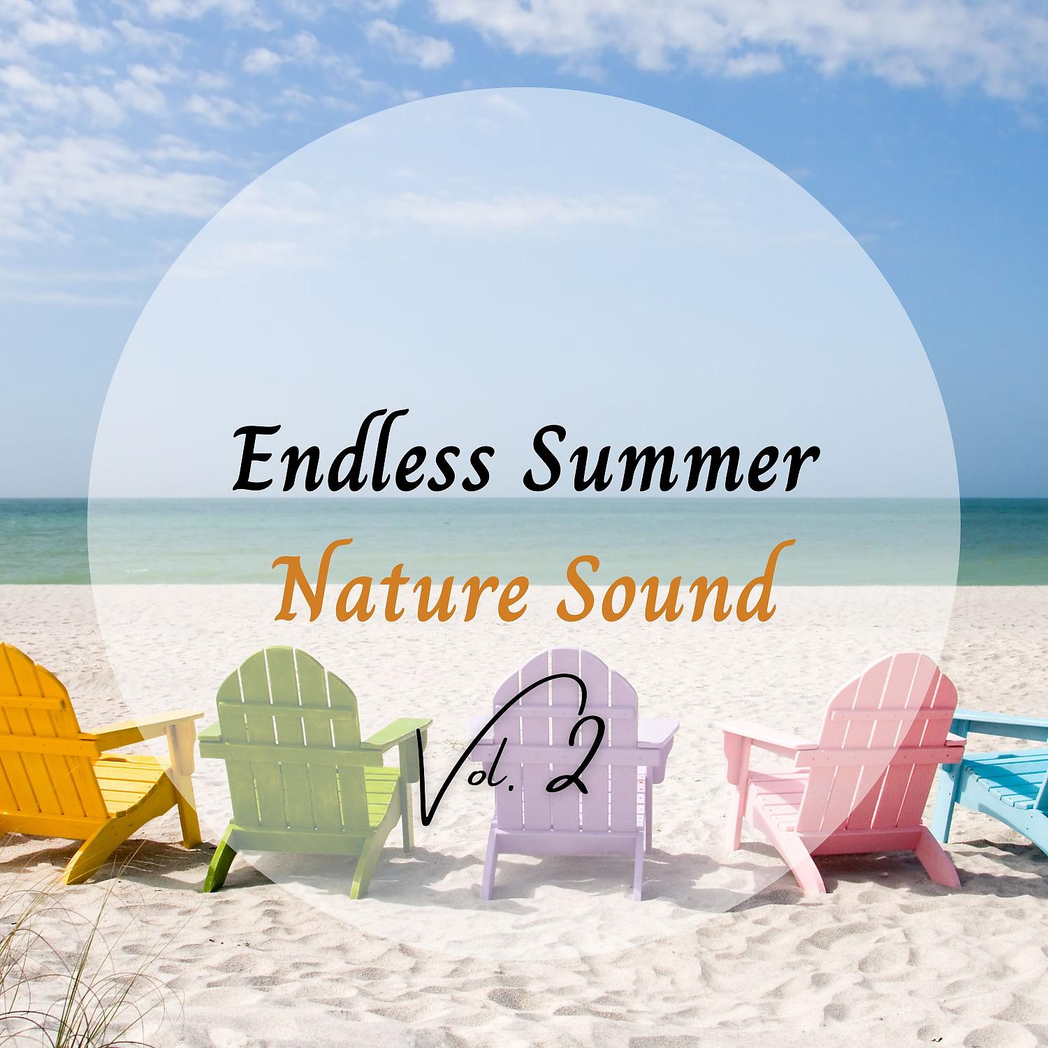 Постер альбома Endless Summer Nature Sound Vol. 2