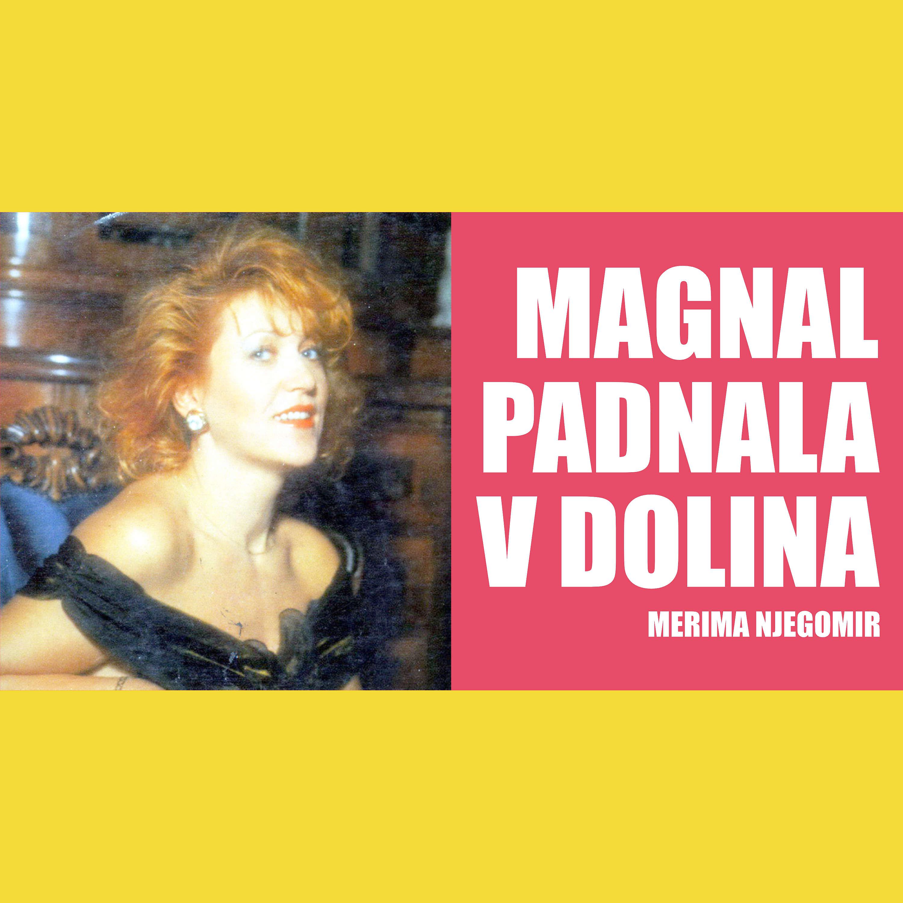 Постер альбома Magnal padnala v dolina