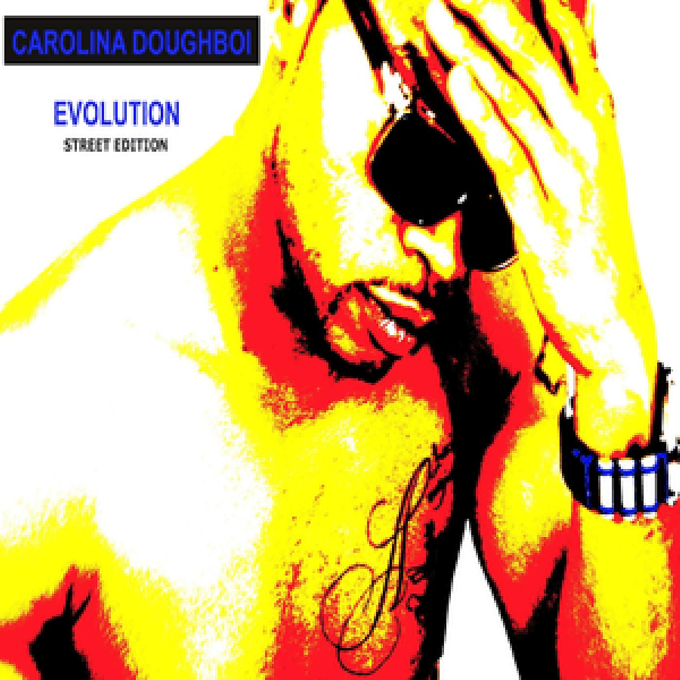 Постер альбома Evolution (Street Edition)