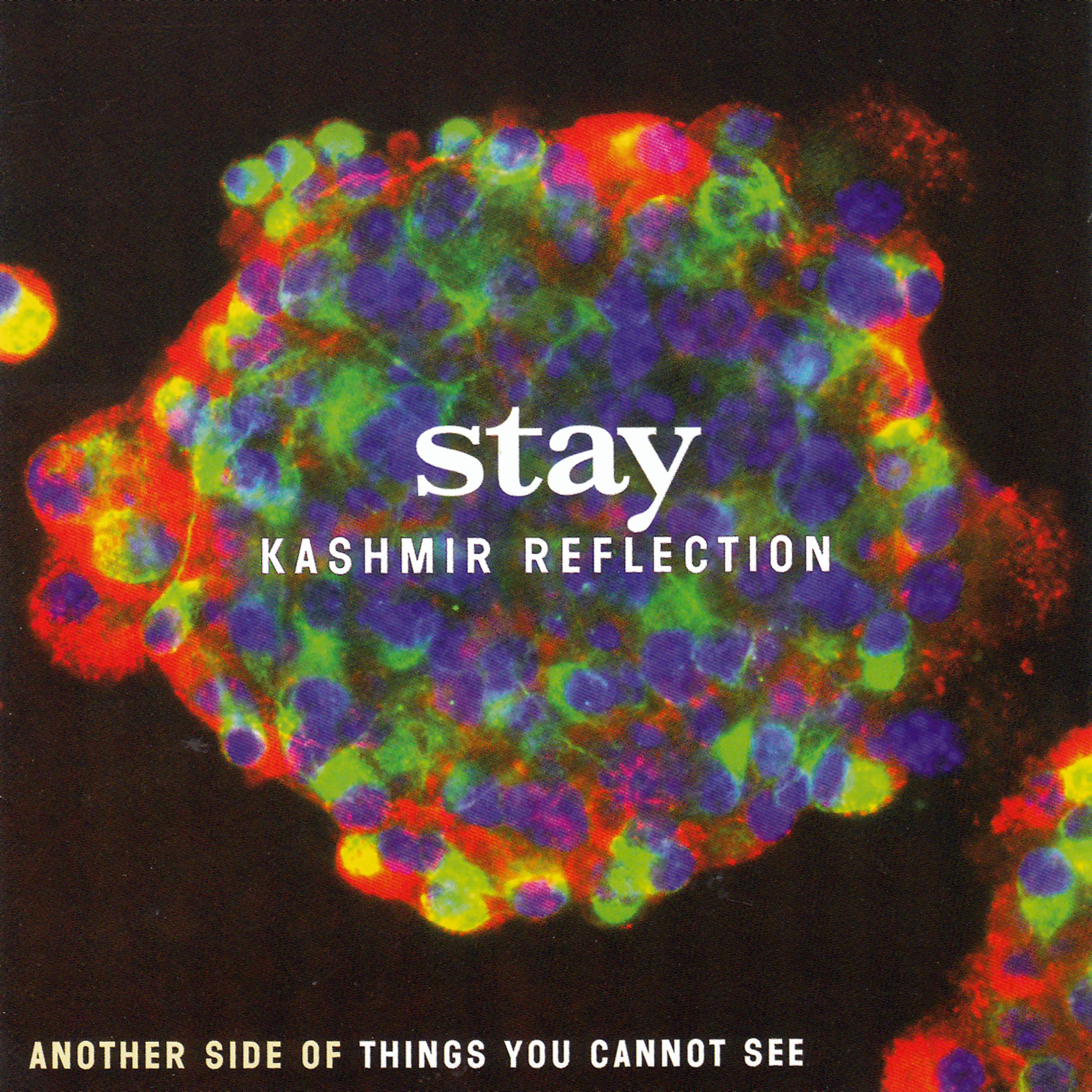 Постер альбома Kashmir Reflection