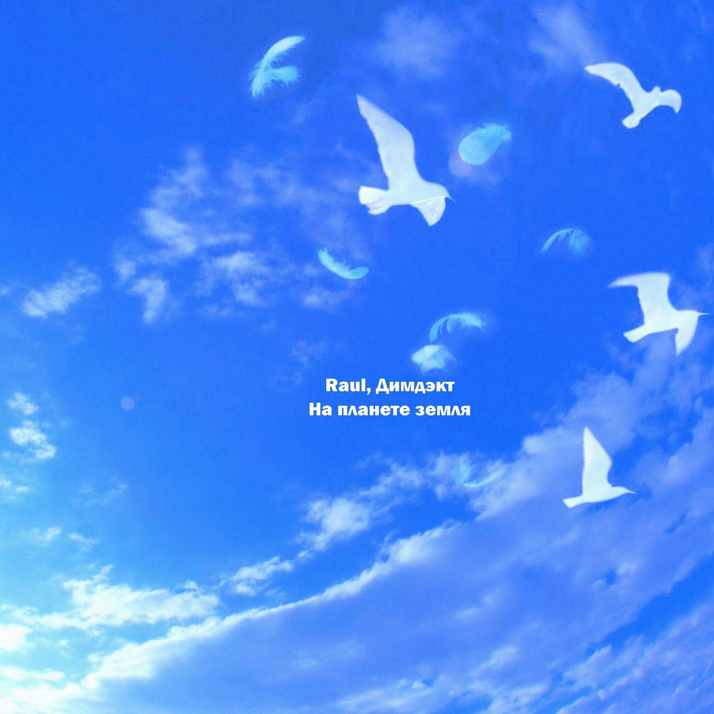 ДИМДЭКТ все песни в mp3