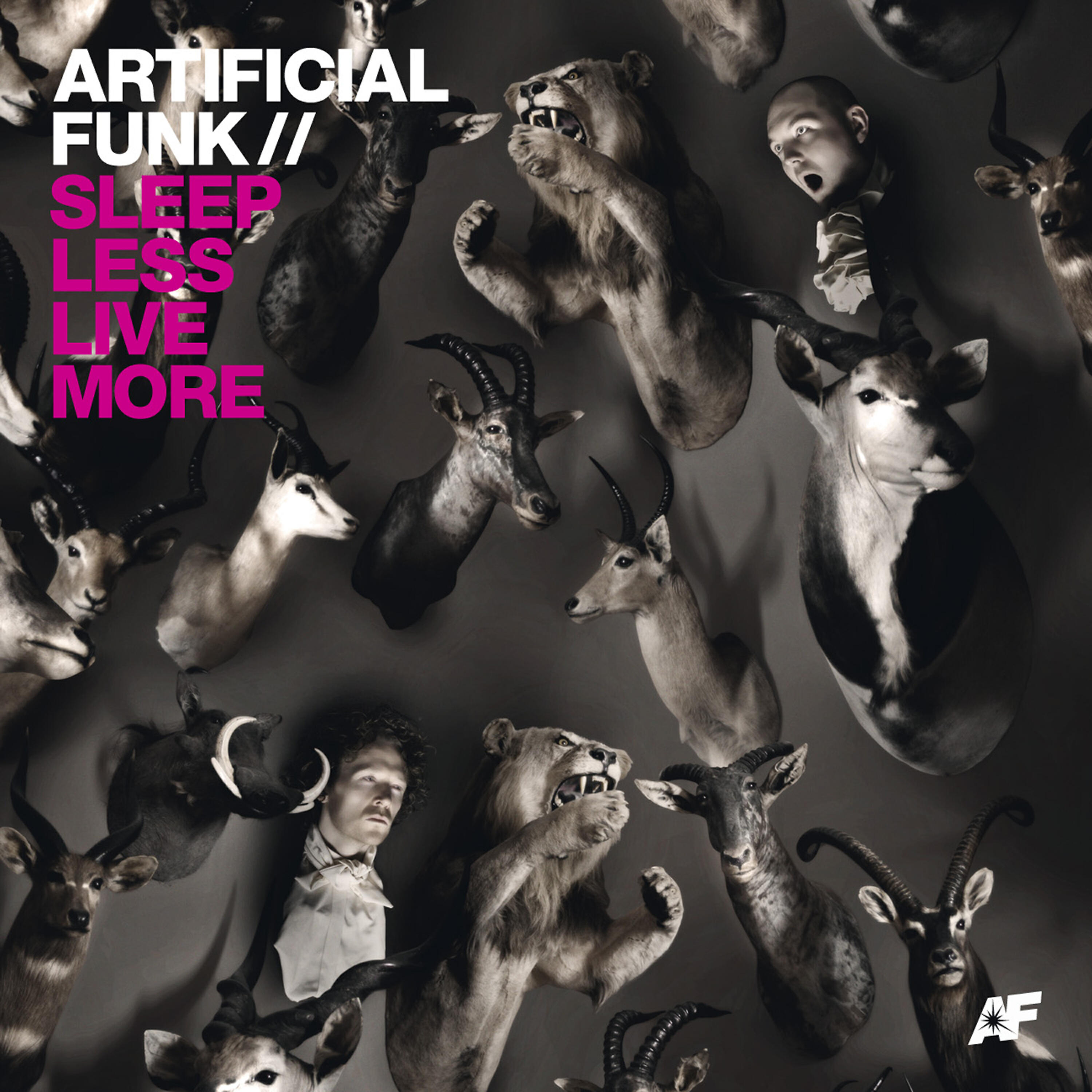 Artificial Funk - Silverfox