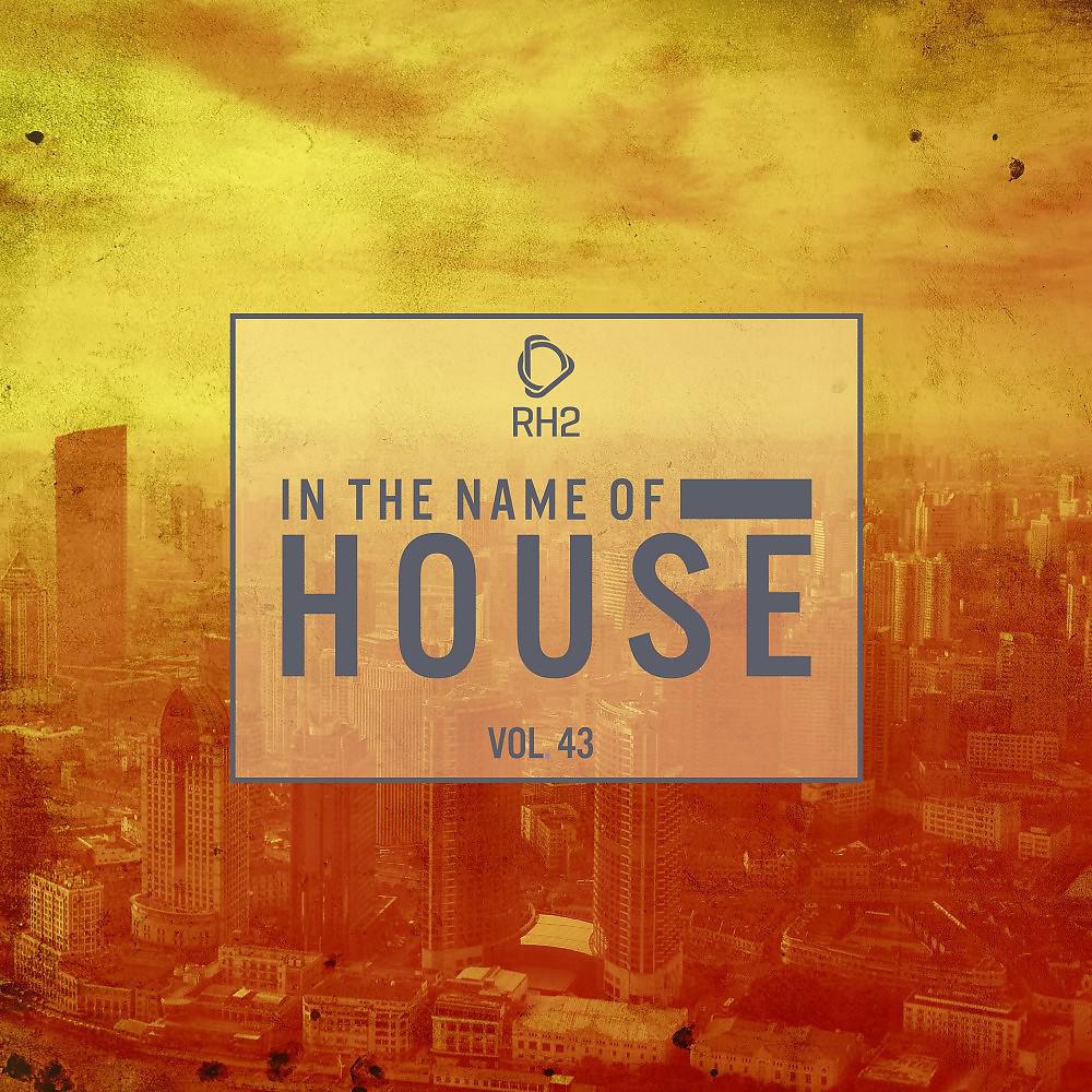 Постер альбома In the Name of House, Vol. 43