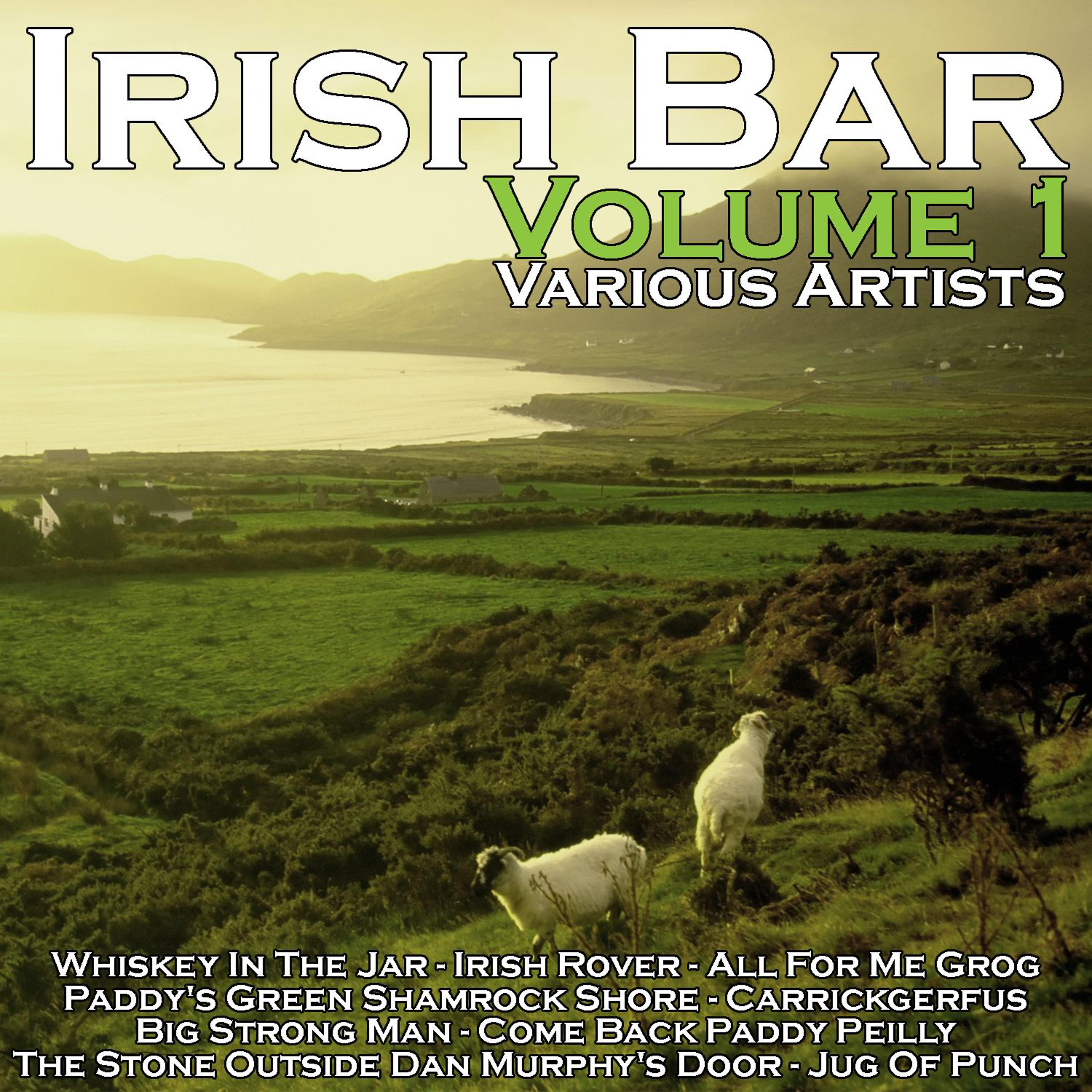 Постер альбома Irish Bar Volume 1