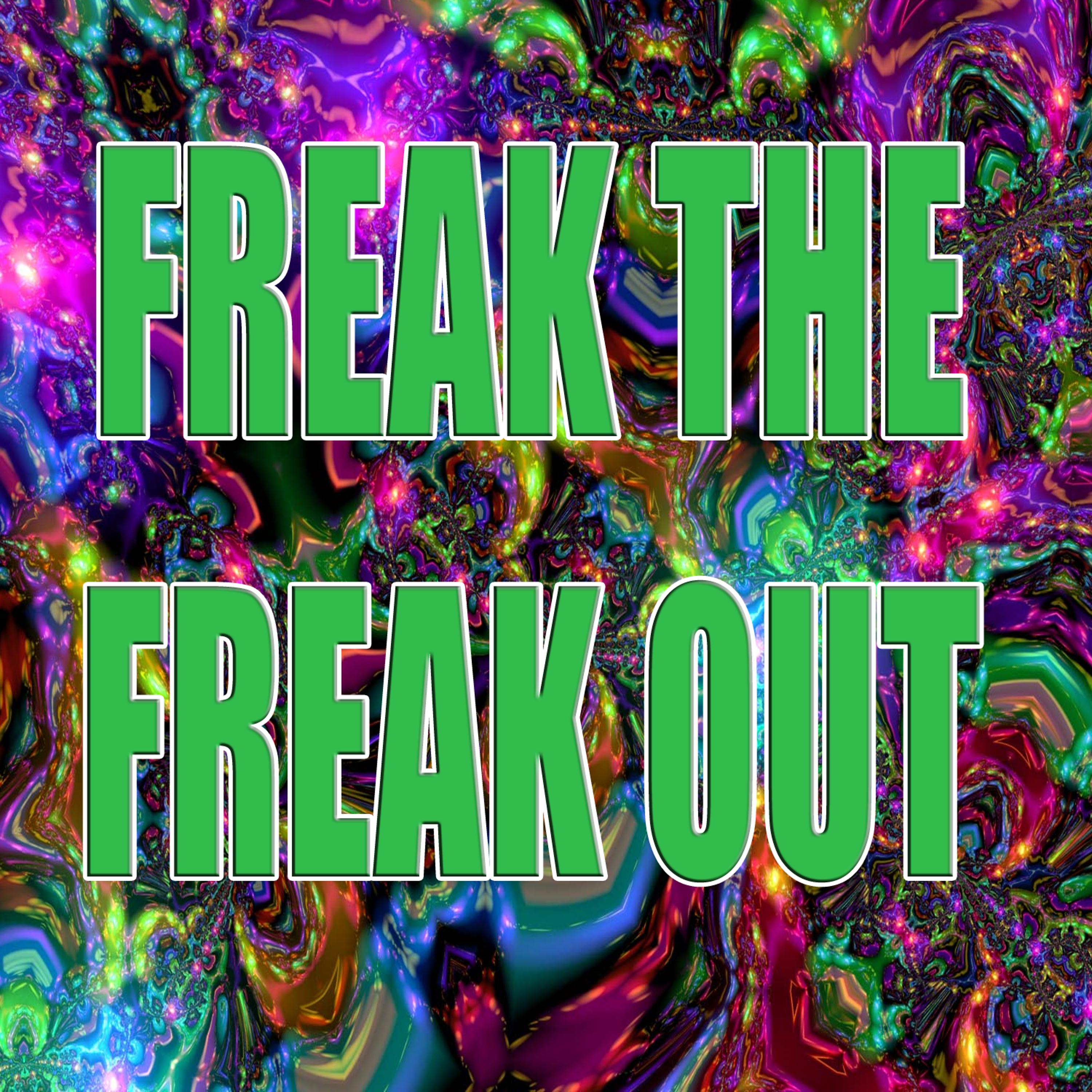 Постер альбома Freak the freak out Karaoke