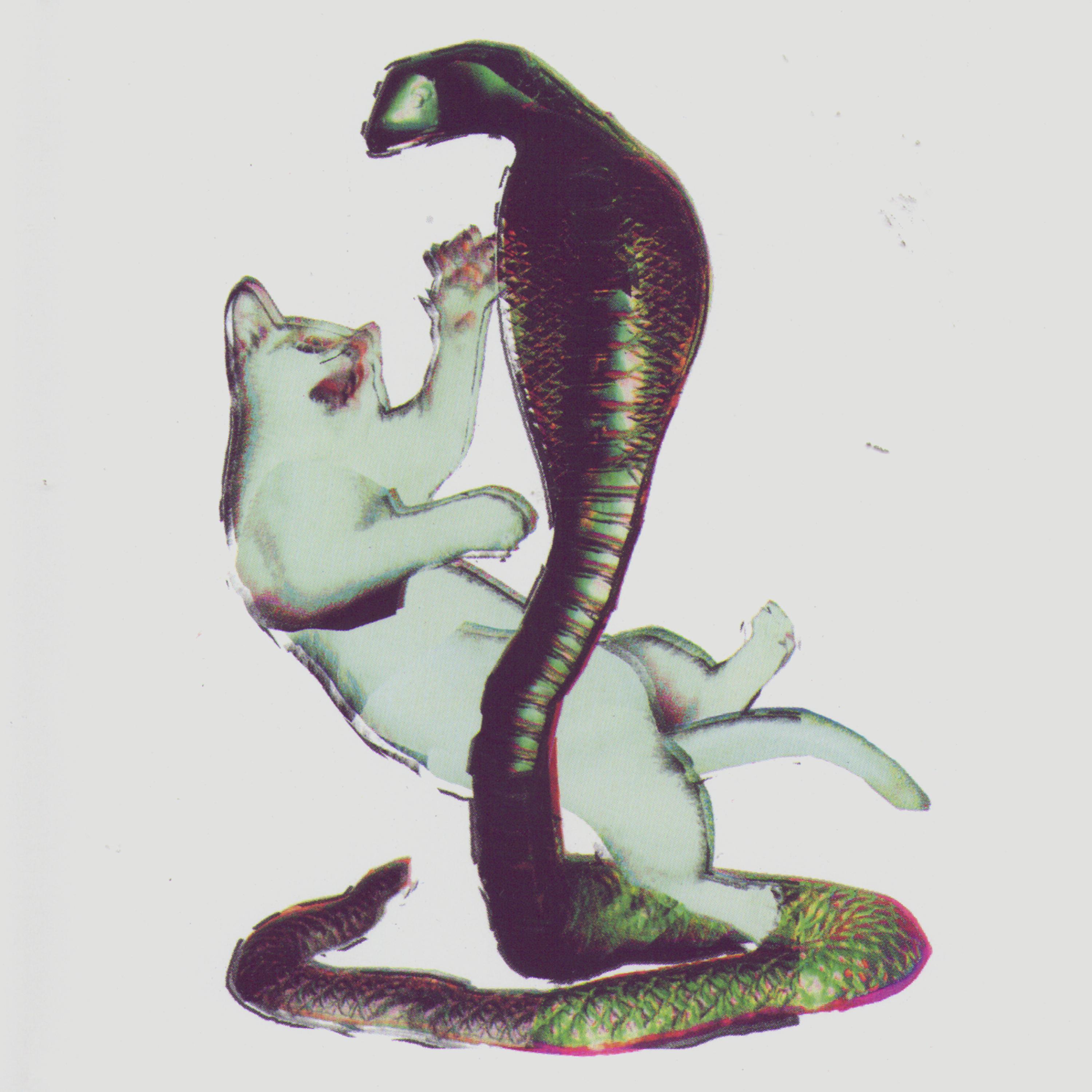 Постер альбома Cat and the Cobra