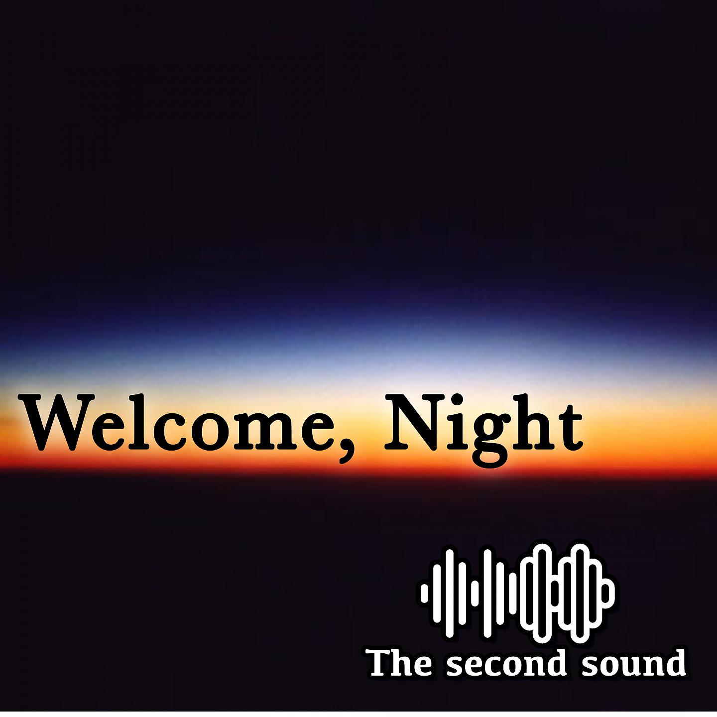 Постер альбома Welcome, Night