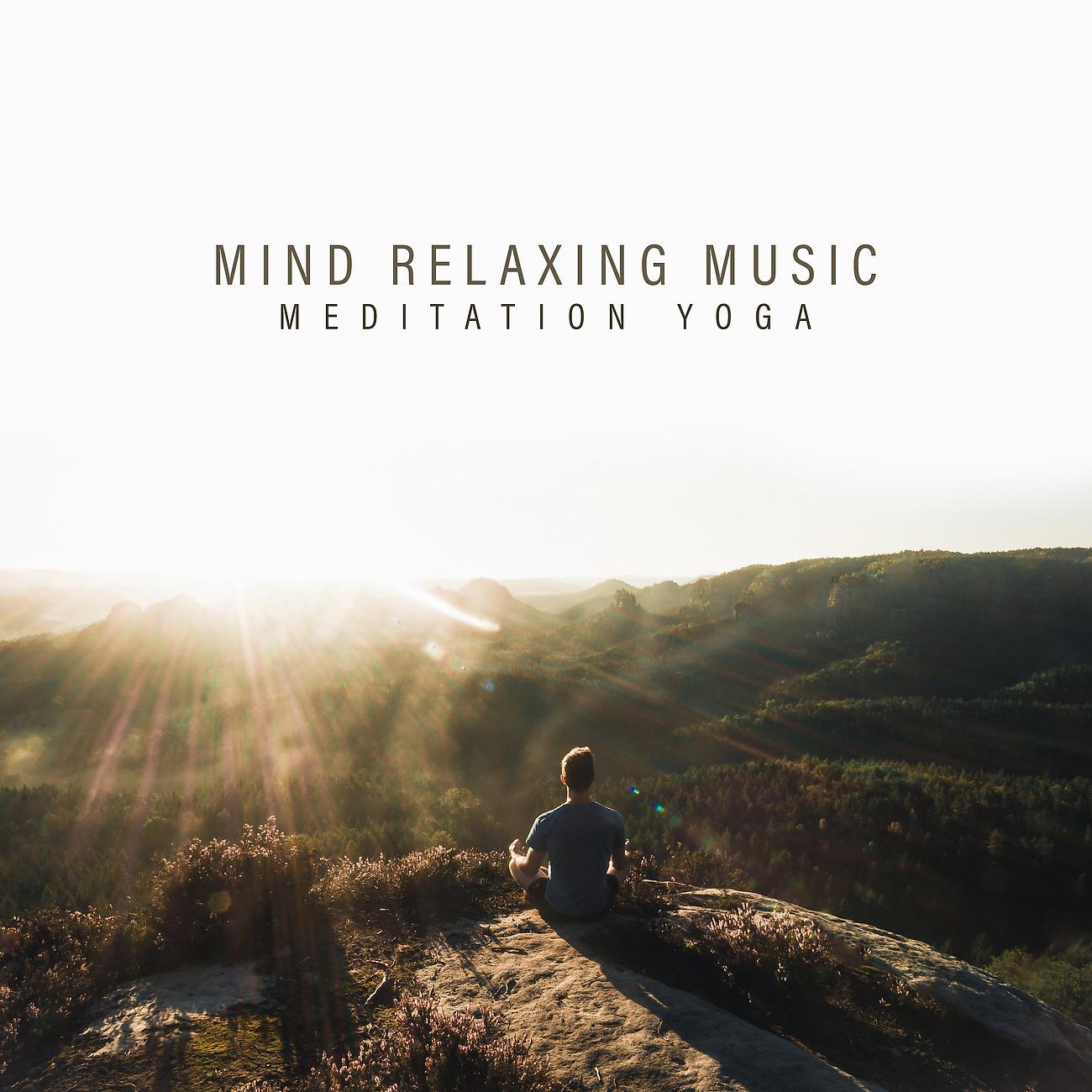 Постер альбома Mind Relaxing Music