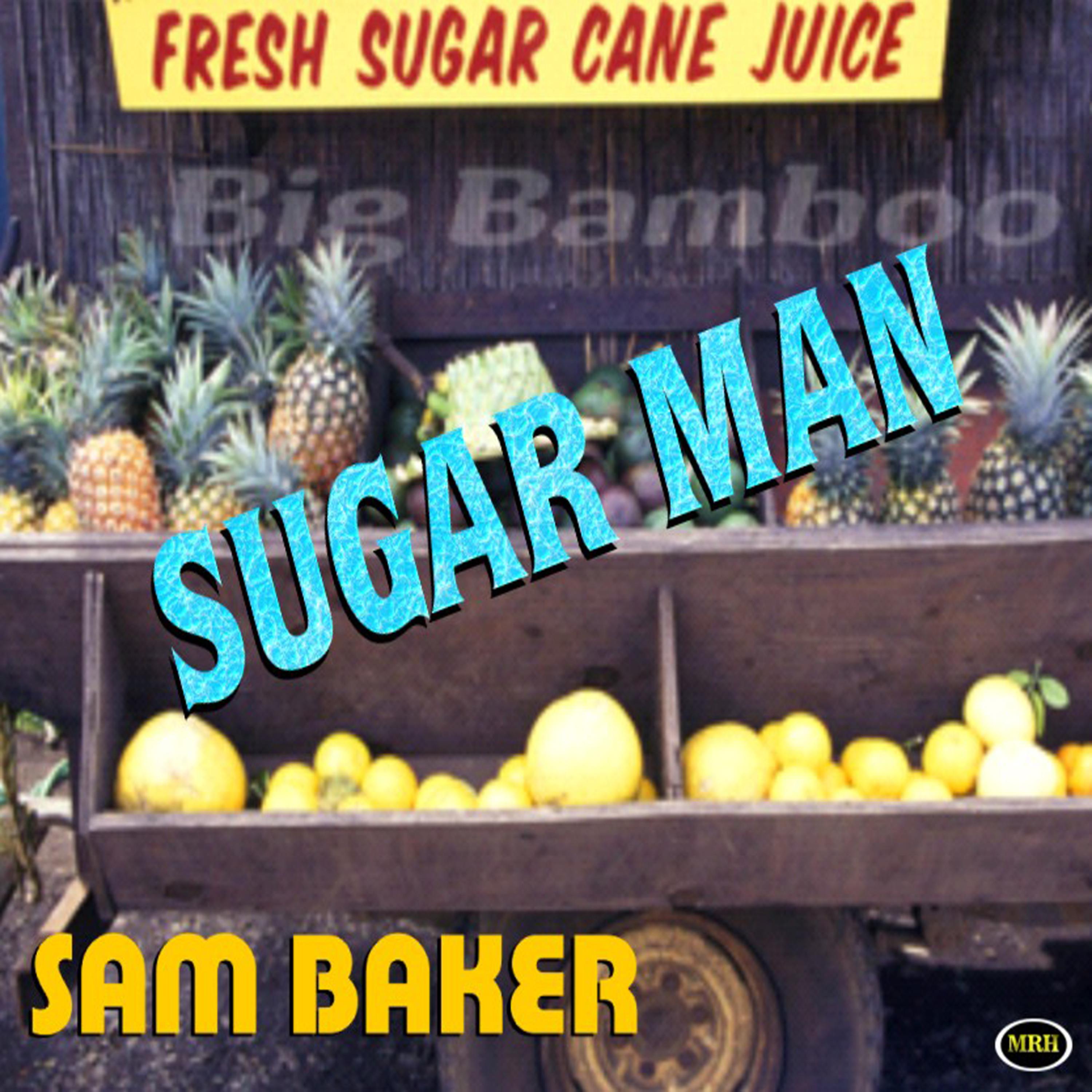 Постер альбома Sugar Man