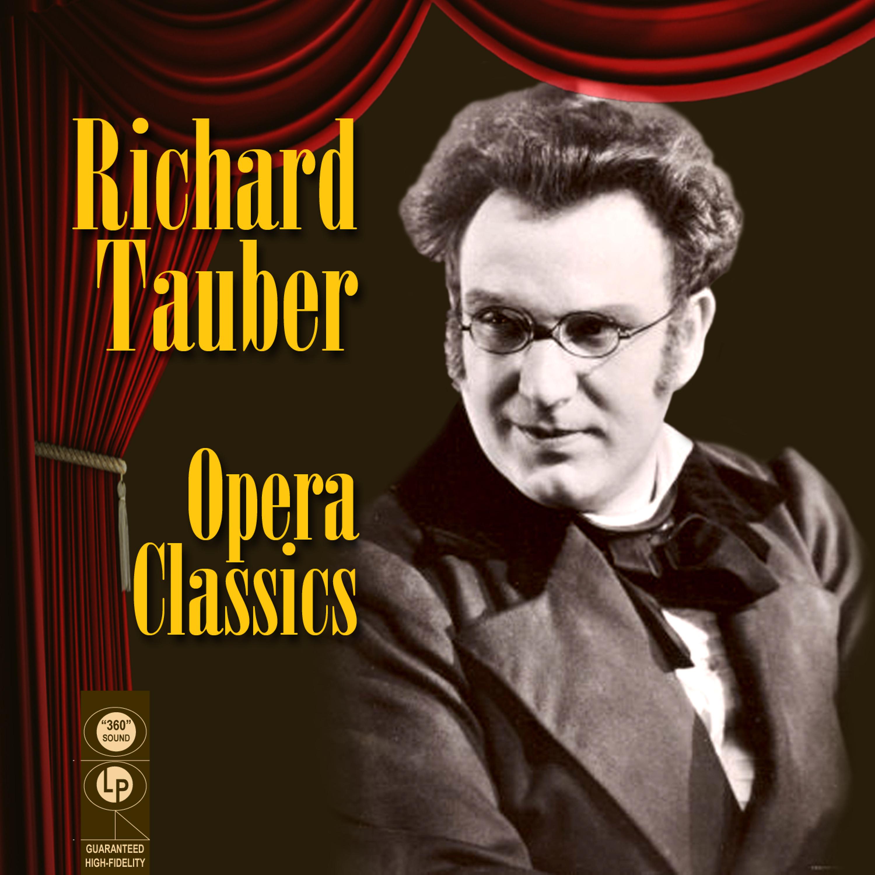 Постер альбома Opera Classics